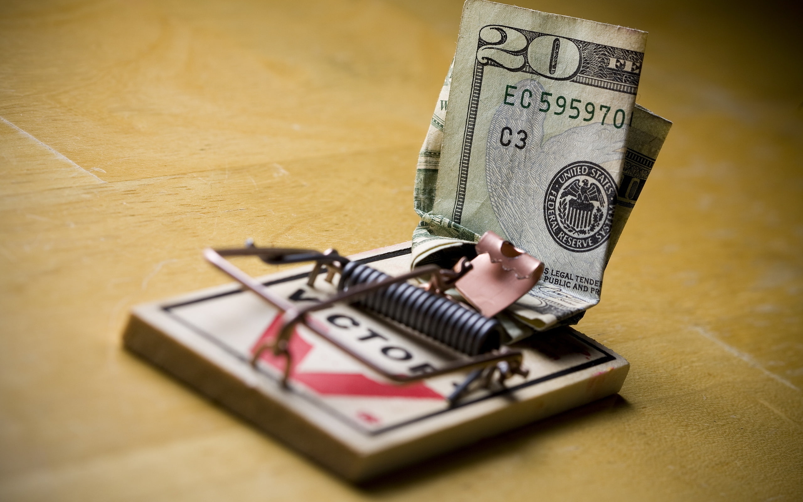 funny, trap, dolar, 2K, money, usd, HD Wallpaper