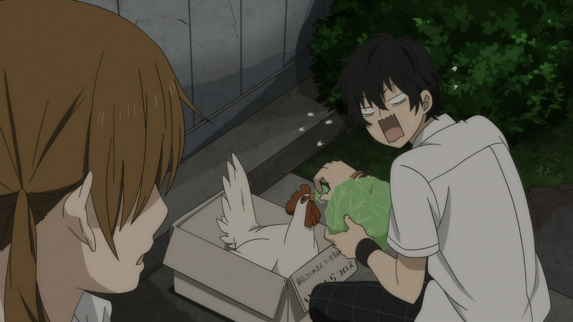 Shizuku Mizutani, Nagoya (Tonari no Kaibutsu-kun), My Little Monster