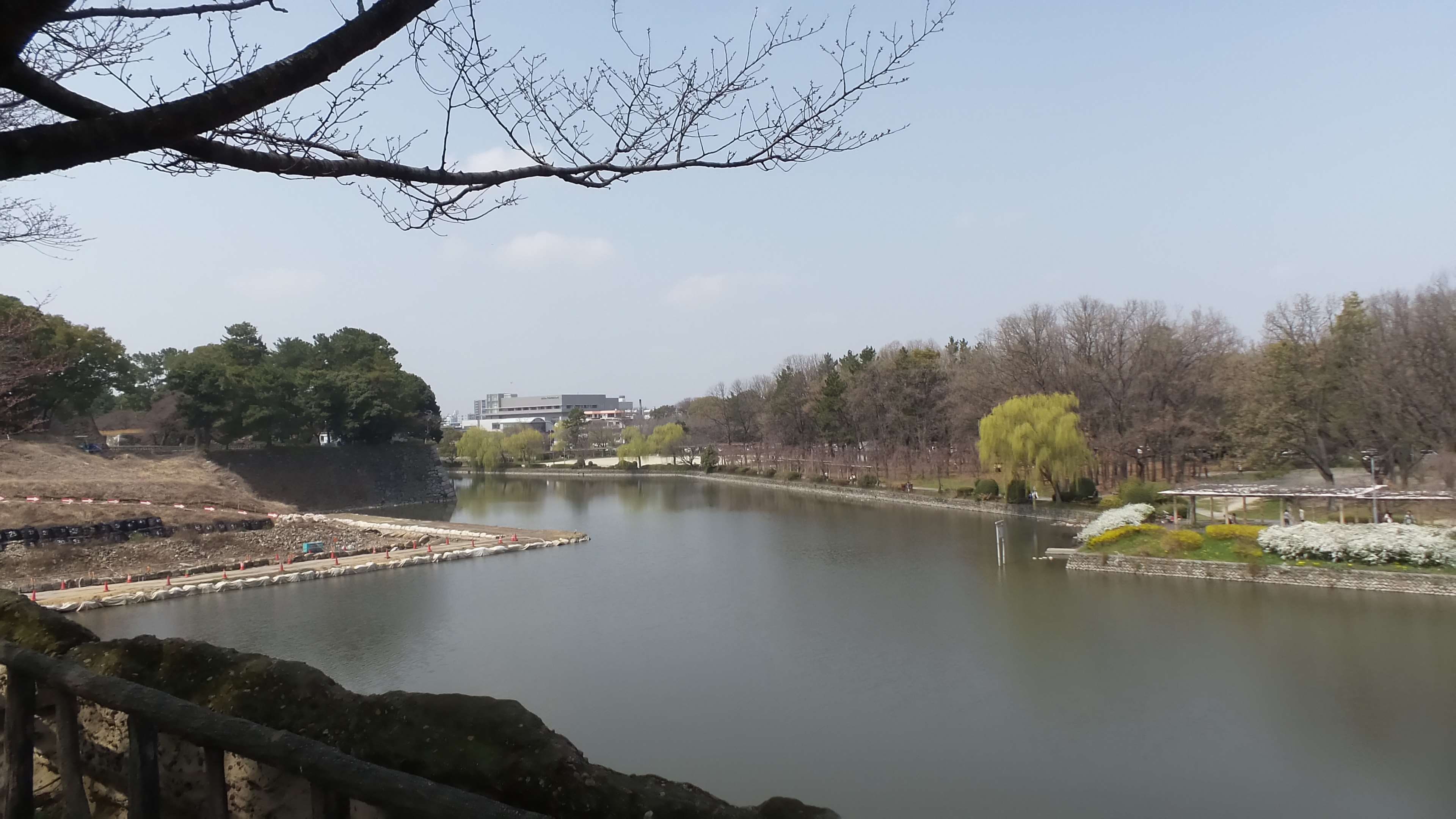 branch, japan, 4K, nagoya, river, built structure, sky, scenics - nature, water, building exterior, nature, day, plant, architecture, beauty in nature, HD Wallpaper