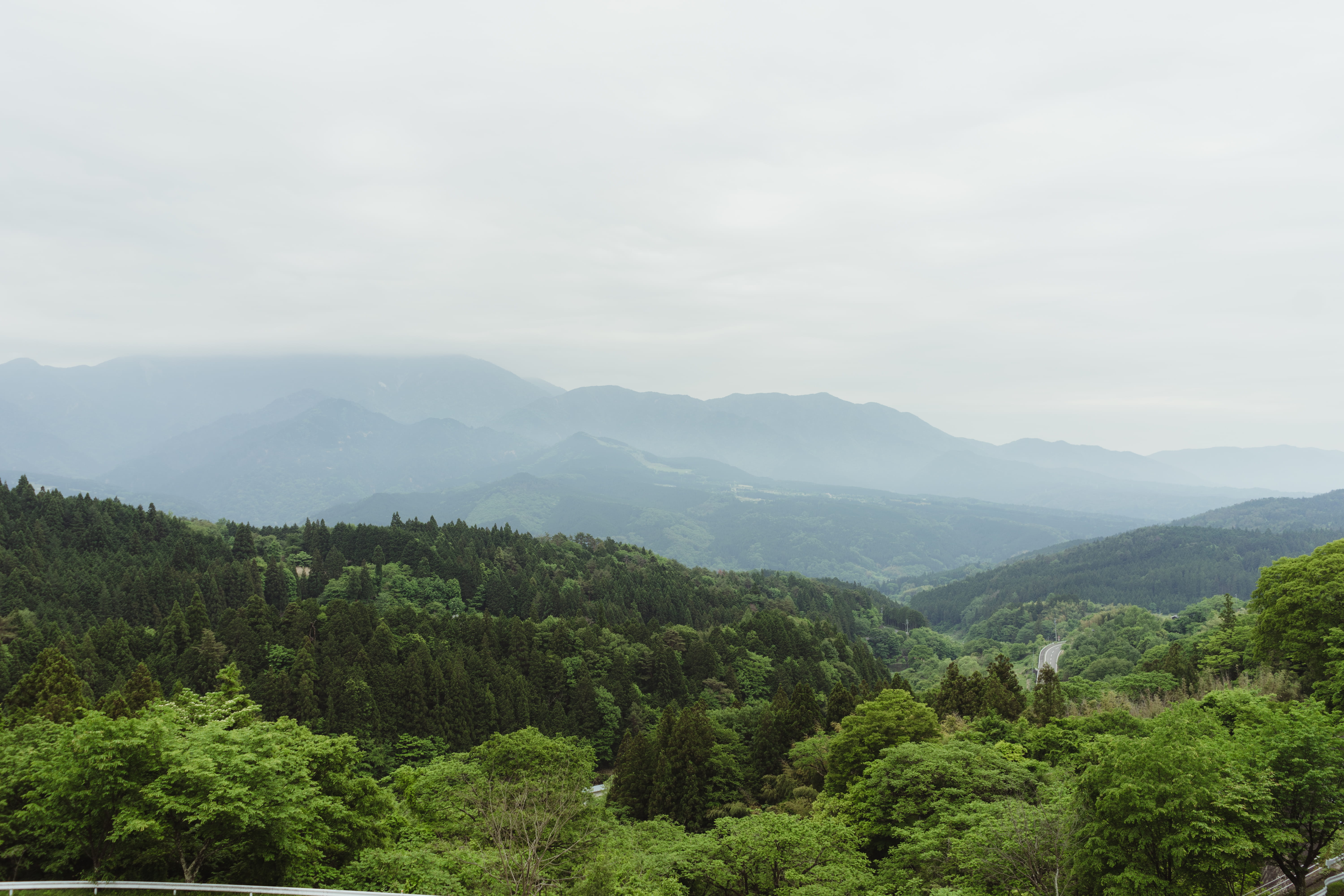 mountain peak, sky, scenics - nature, japan, tranquil scene, environment, foliage, non-urban scene, 5K, plant, growth, landscape, green color, tree, tranquility, HD Wallpaper