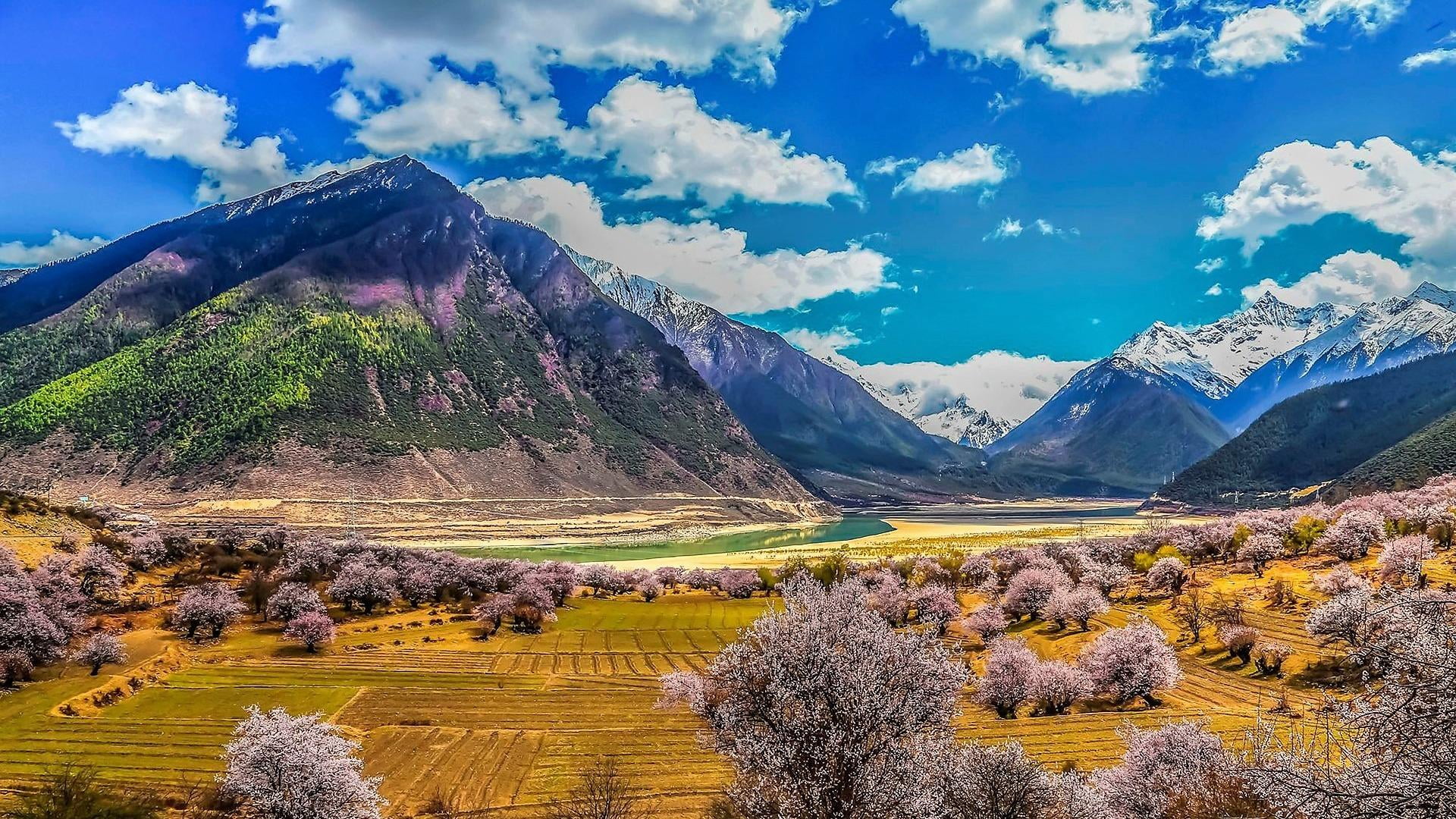 environment, mountain range, yarlung tsangpo grand canyon, tibet, no people, tsangpo canyon, yarlung tsangpo river, canyon, non-urban scene, scenics - nature, HD Wallpaper