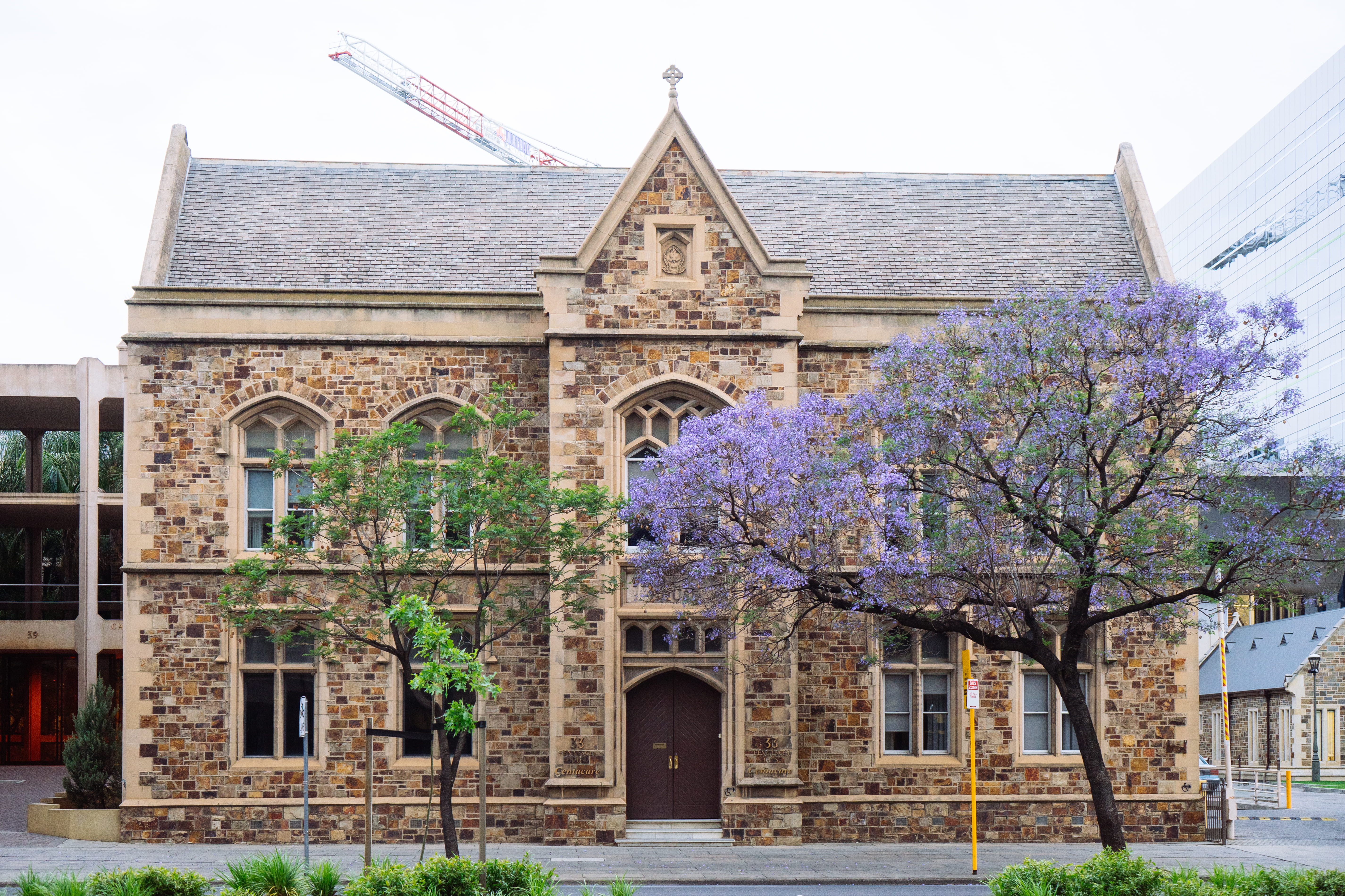 history, outdoors, nature, the past, religion, jacaranda, church, australia, adelaide, architecture, purple, spirituality, symmetrical, built structure, HD Wallpaper
