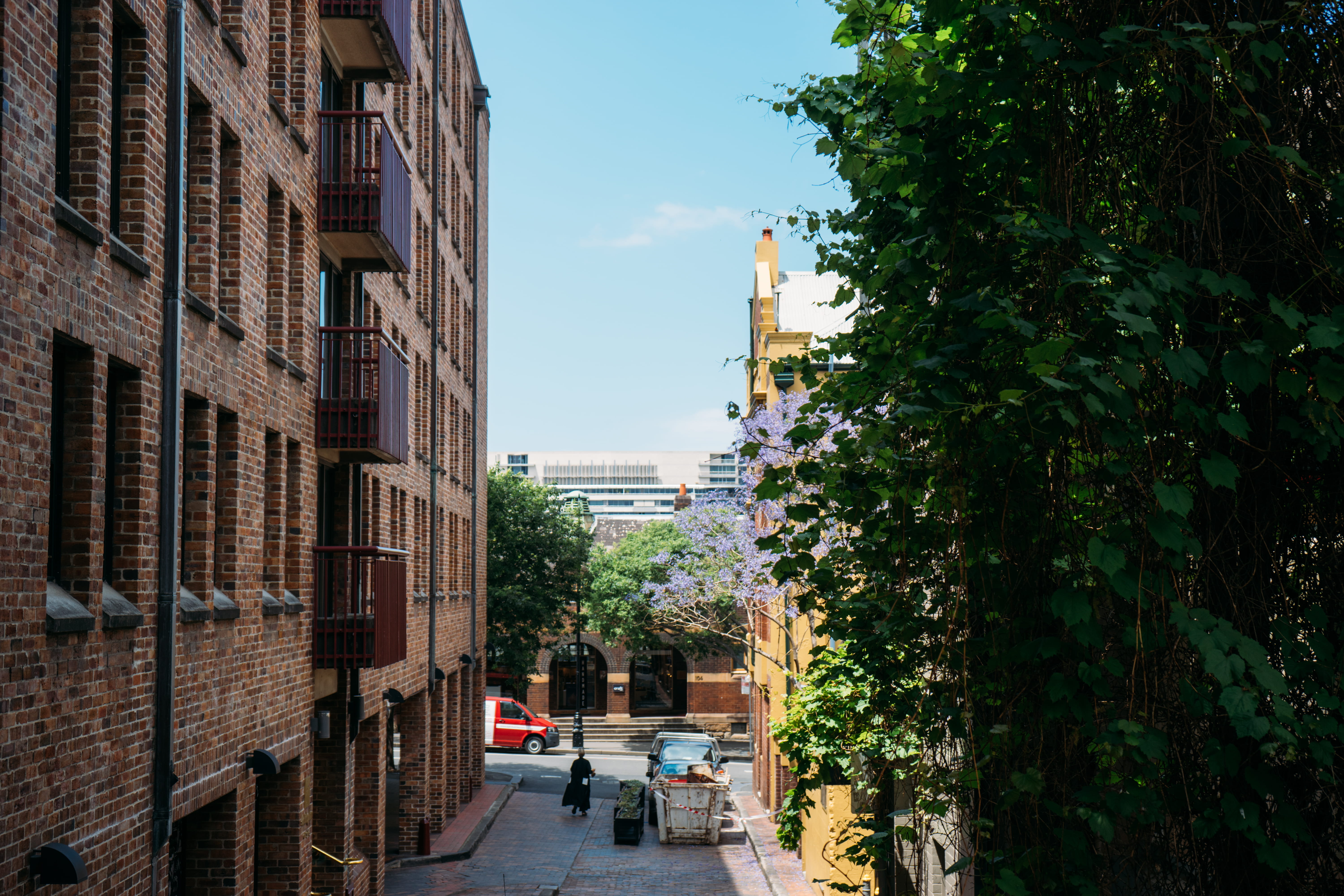 the rock, residential district, outdoors, urban, mode of transportation, building, jacaranda trees, city life, motor vehicle, buildings, built structure, HD Wallpaper
