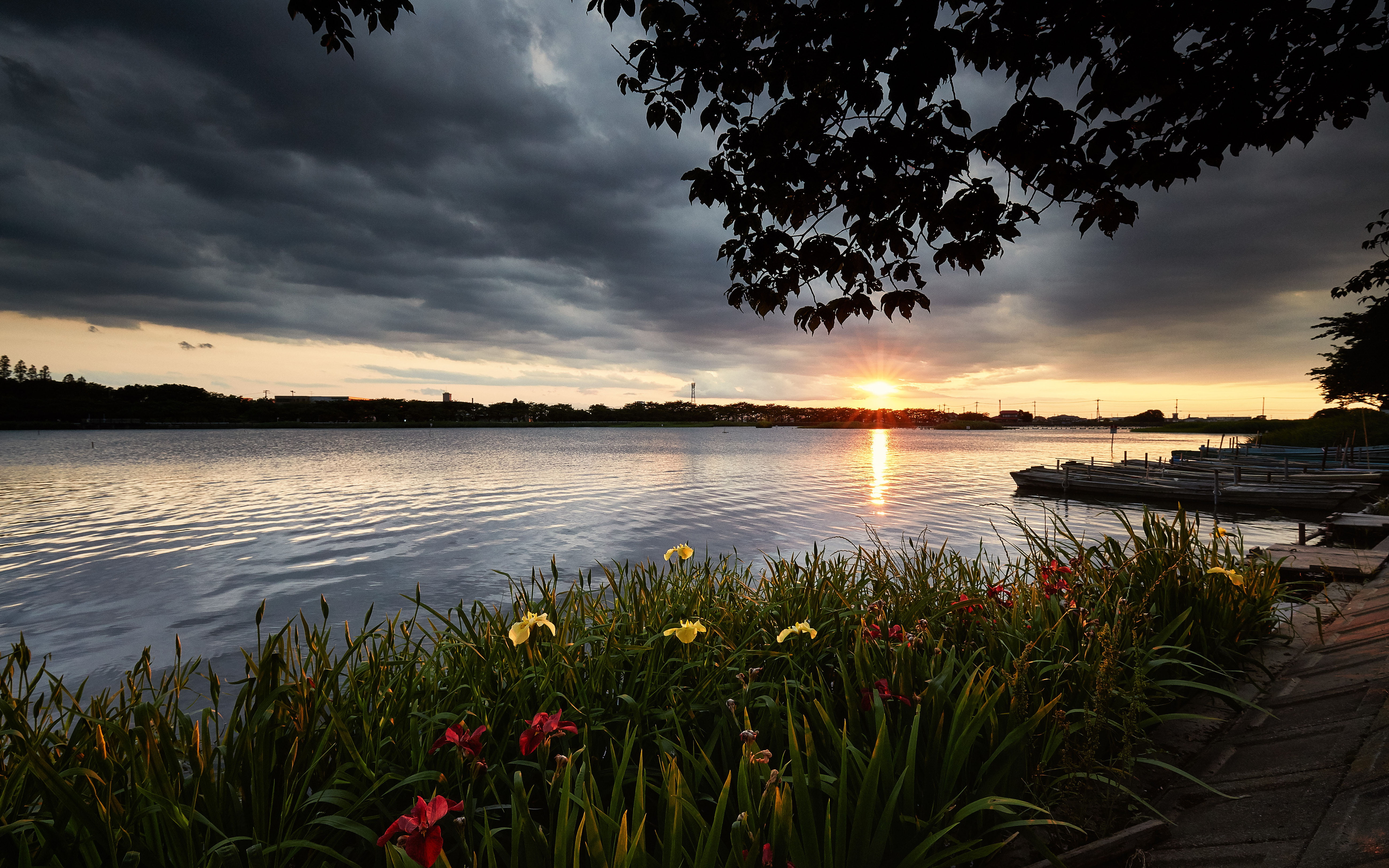 non-urban scene, hd, tree, shi, saitama, tranquility, lake, dark, sunset, sky, idyllic, river, outdoors, scenics - nature, plant, landscape, 5K, clouds, HD Wallpaper