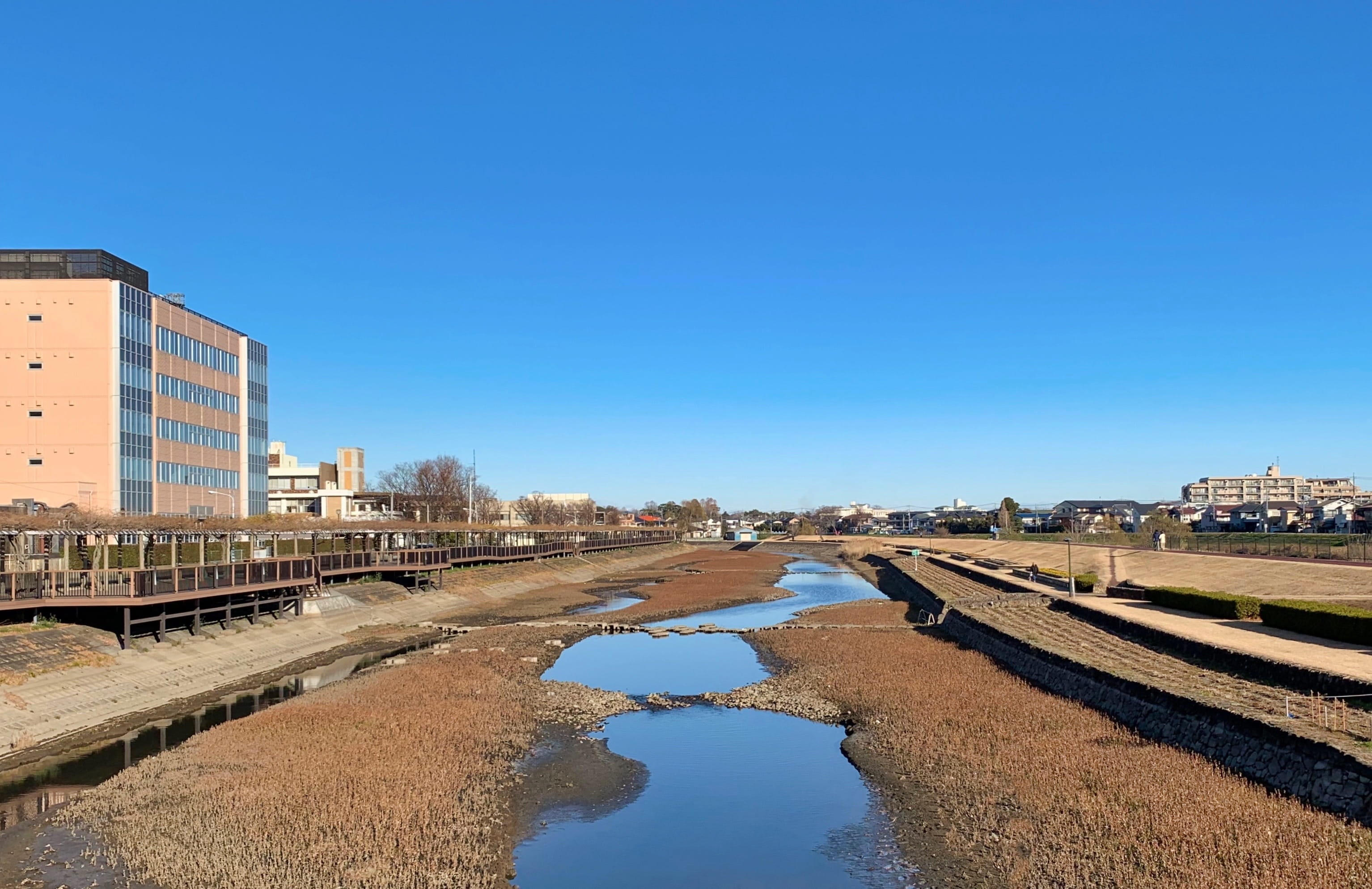 plant, clear sky, canal, sky, koshigaya, 2K, built structure, japan, blue, city, architecture, saitama, outdoors, building, waterfront, building exterior, HD Wallpaper