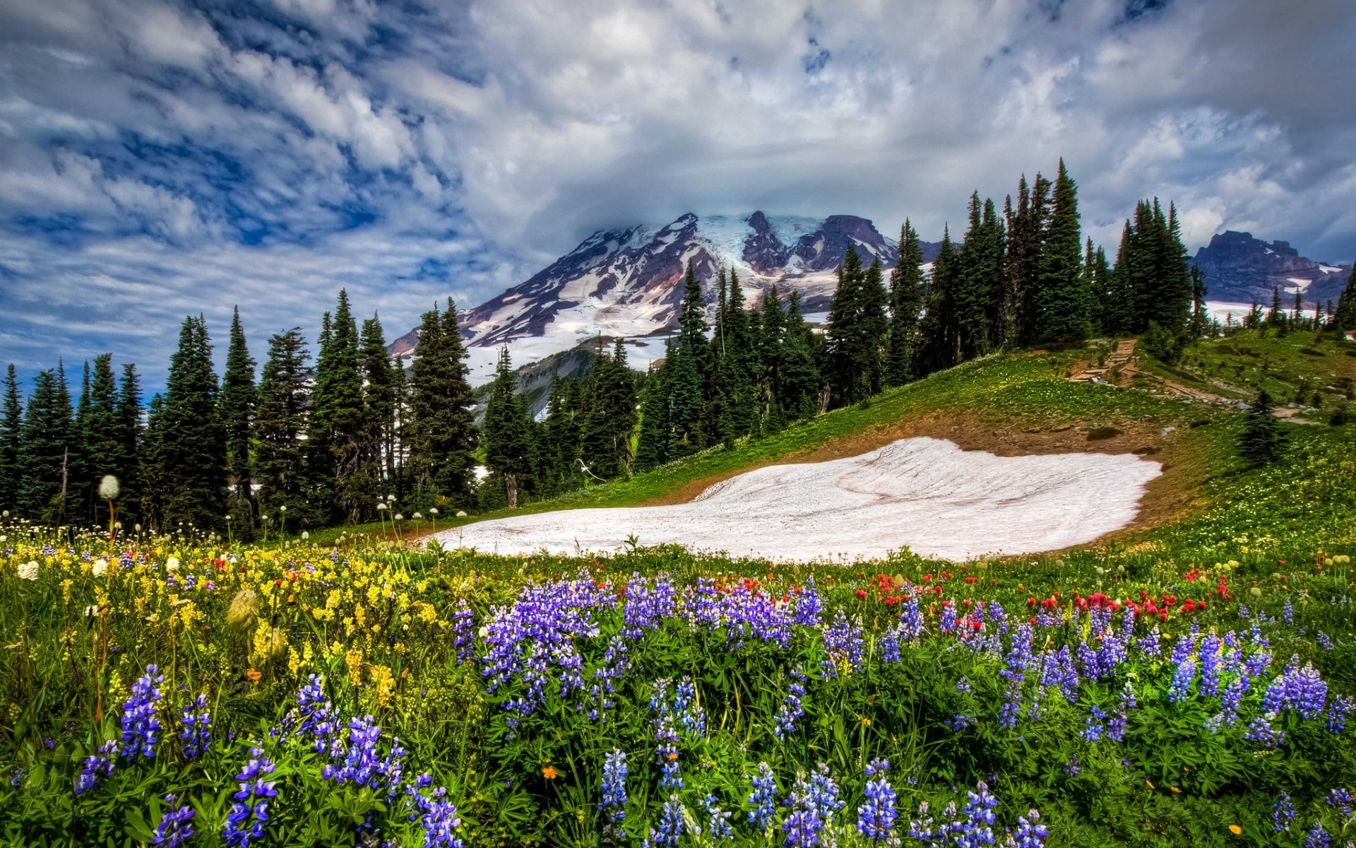 1080P, spring photo, early, spring pics, landscape, spring view, spring, HD Wallpaper