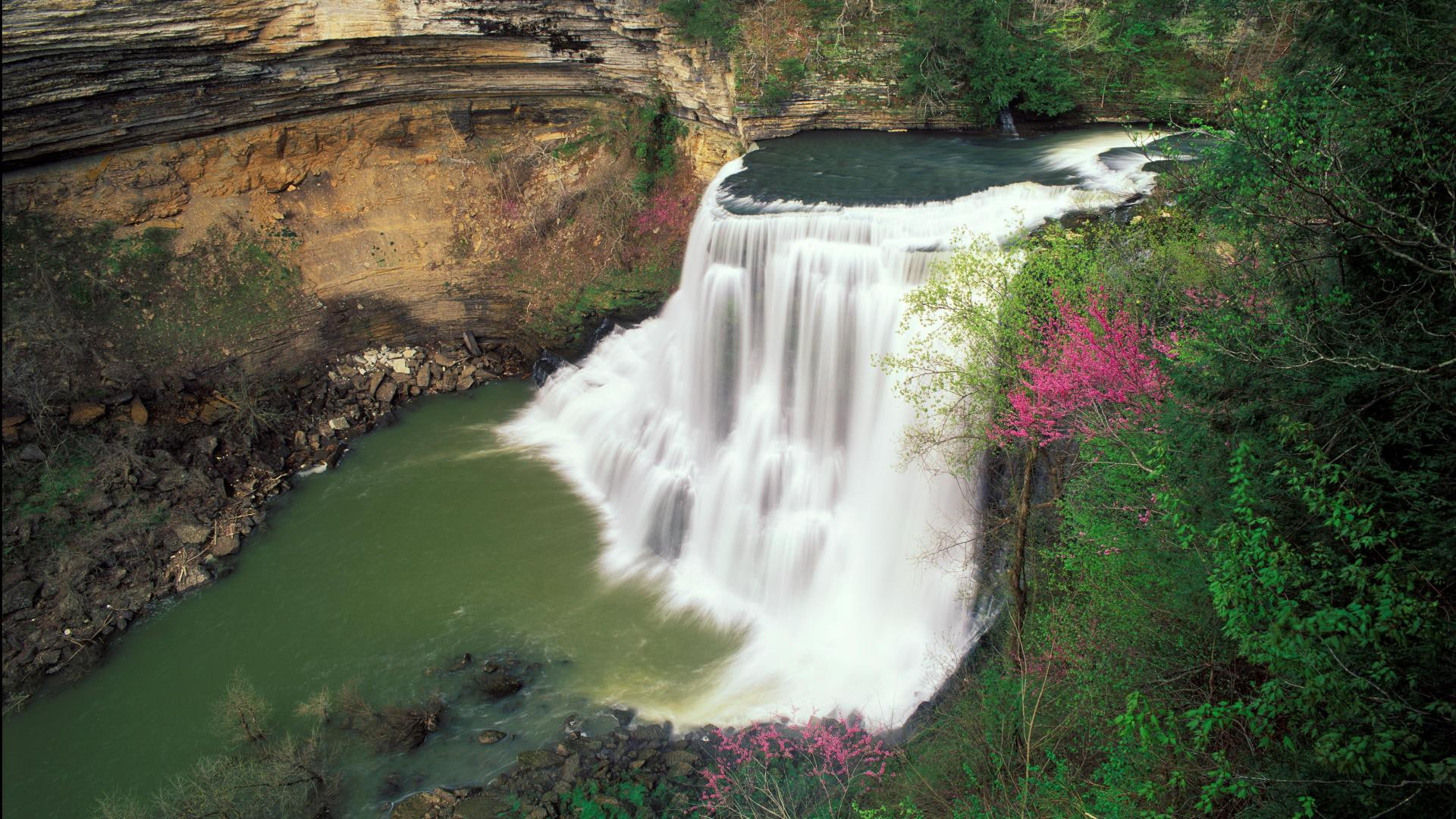 early-spring, leaved, green, burgess, 3d and abstract, falls, picture, water, cool, pink, body, trees, burgess-falls, 1080P, tennessee, HD Wallpaper