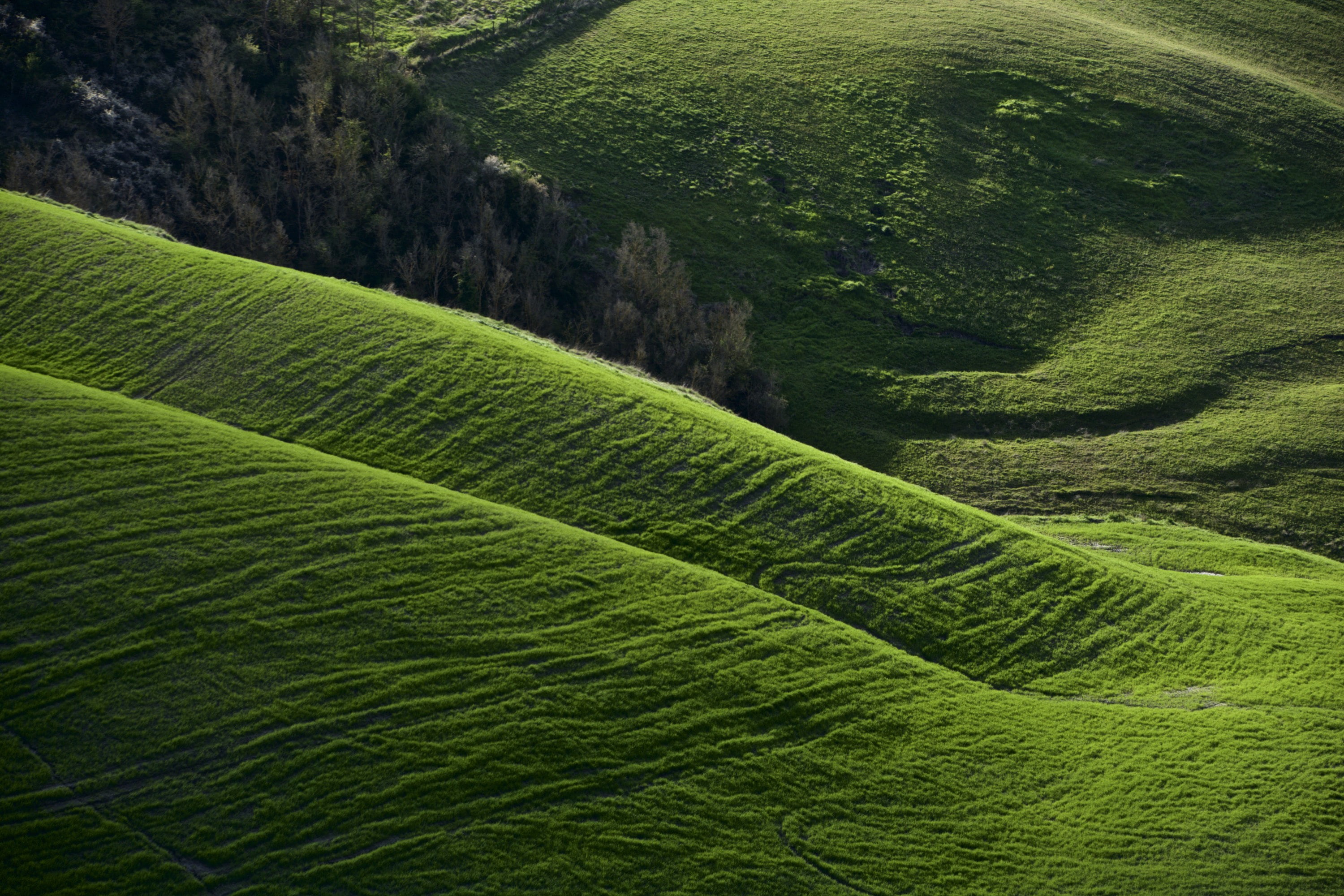 campagna, rural Scene, agriculture, hill, tuscany, shadows, green, crete senesi, outdoors, grassfield, green Color, colline, nikon  d7100, italy, scenics, HD Wallpaper