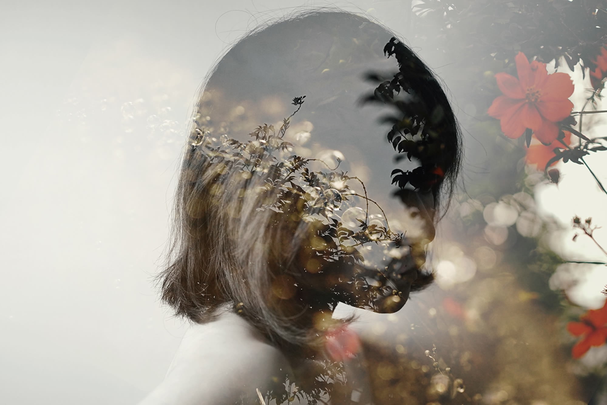 1080P, women, face, flowers, plants, double exposure, HD Wallpaper