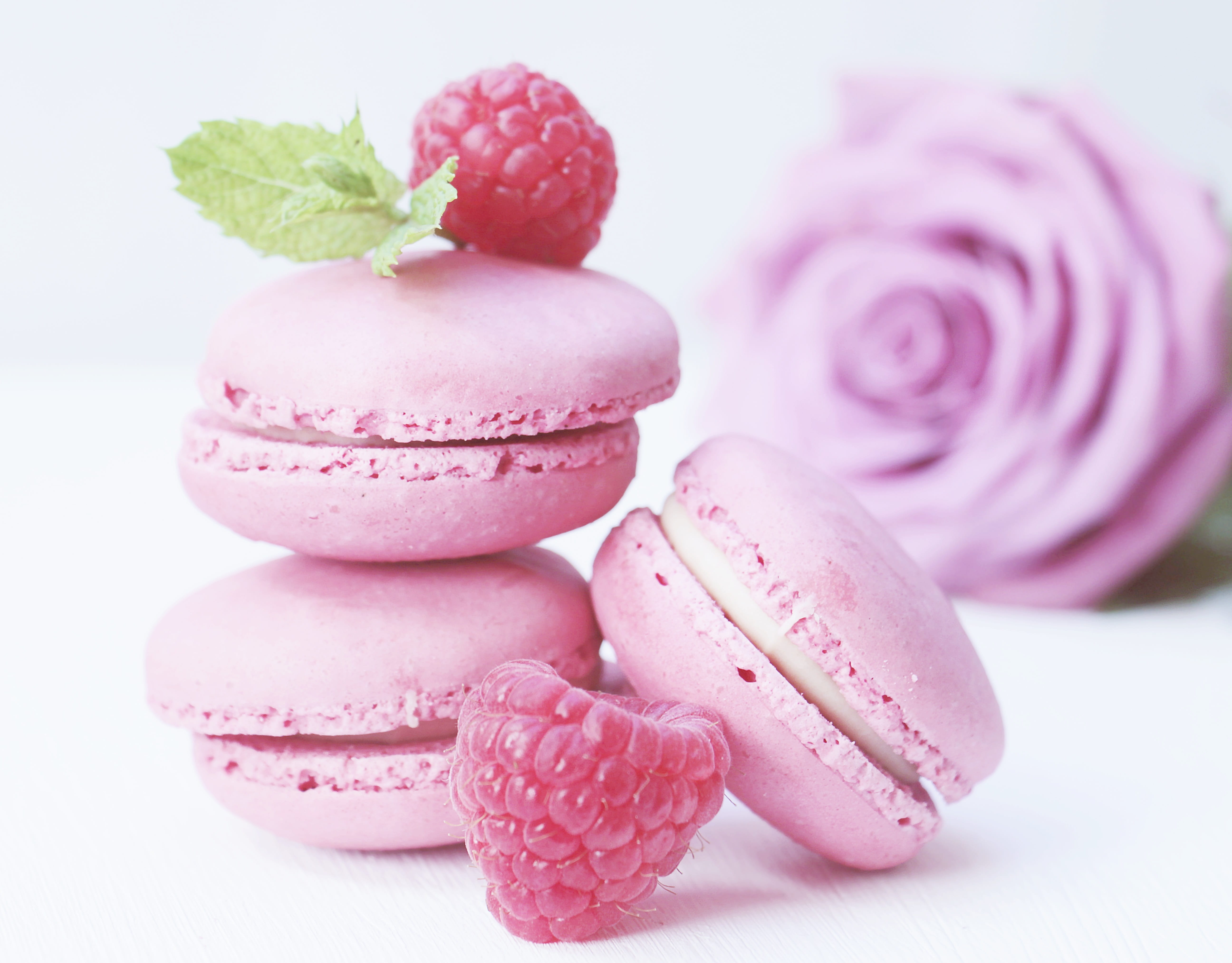 pink color, no people, postcard, 5K, focus on foreground, pastries, pastellfarben, rose, macarons, almond meringue, food and drink, temptation, flower, HD Wallpaper