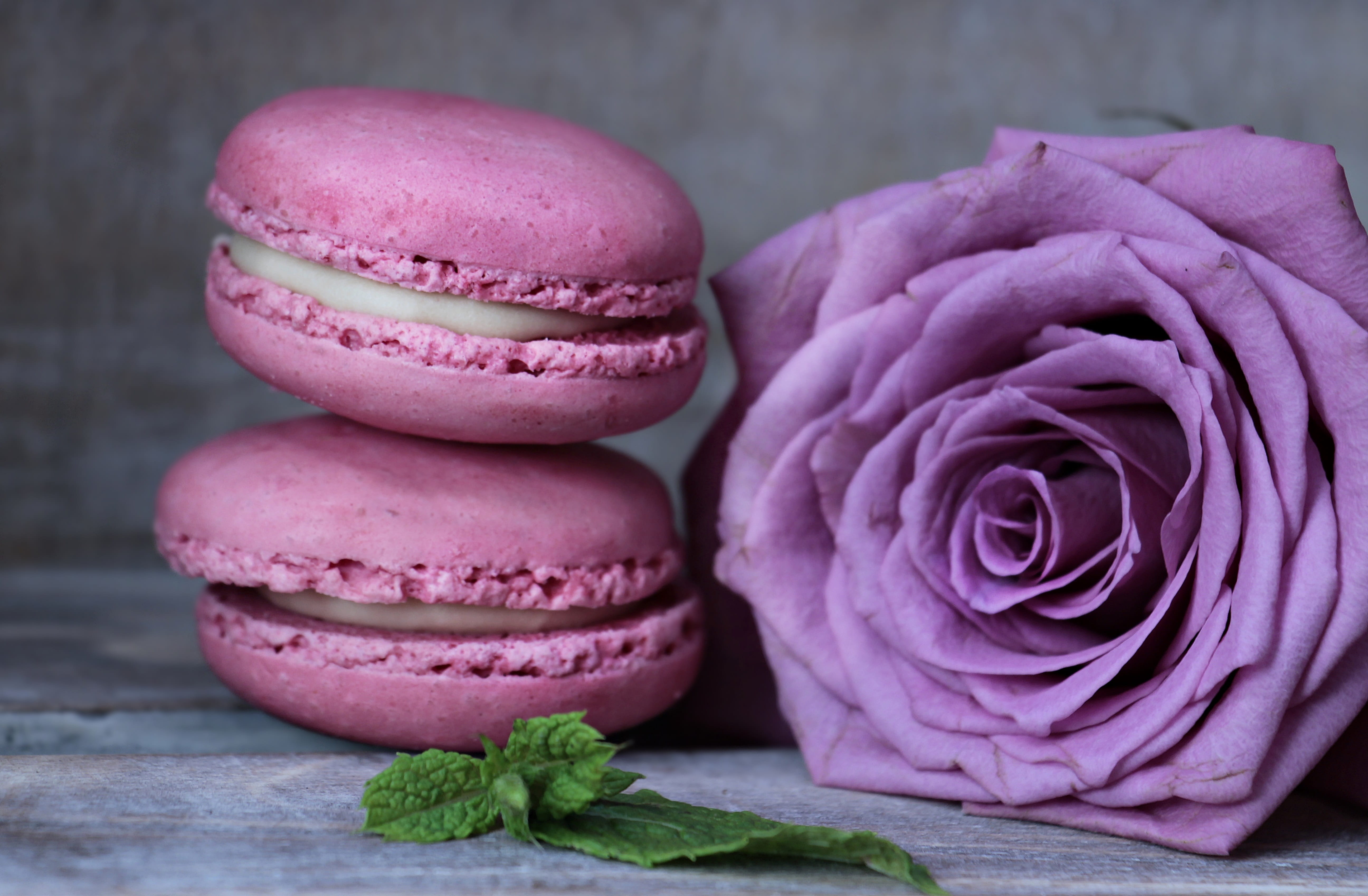 purple rose flower, biscuits, postcard, indoors, bloom, french pastries, pastellfarben, pastel, romantic, 5K, pink macarons, temptation, almond meringue, HD Wallpaper