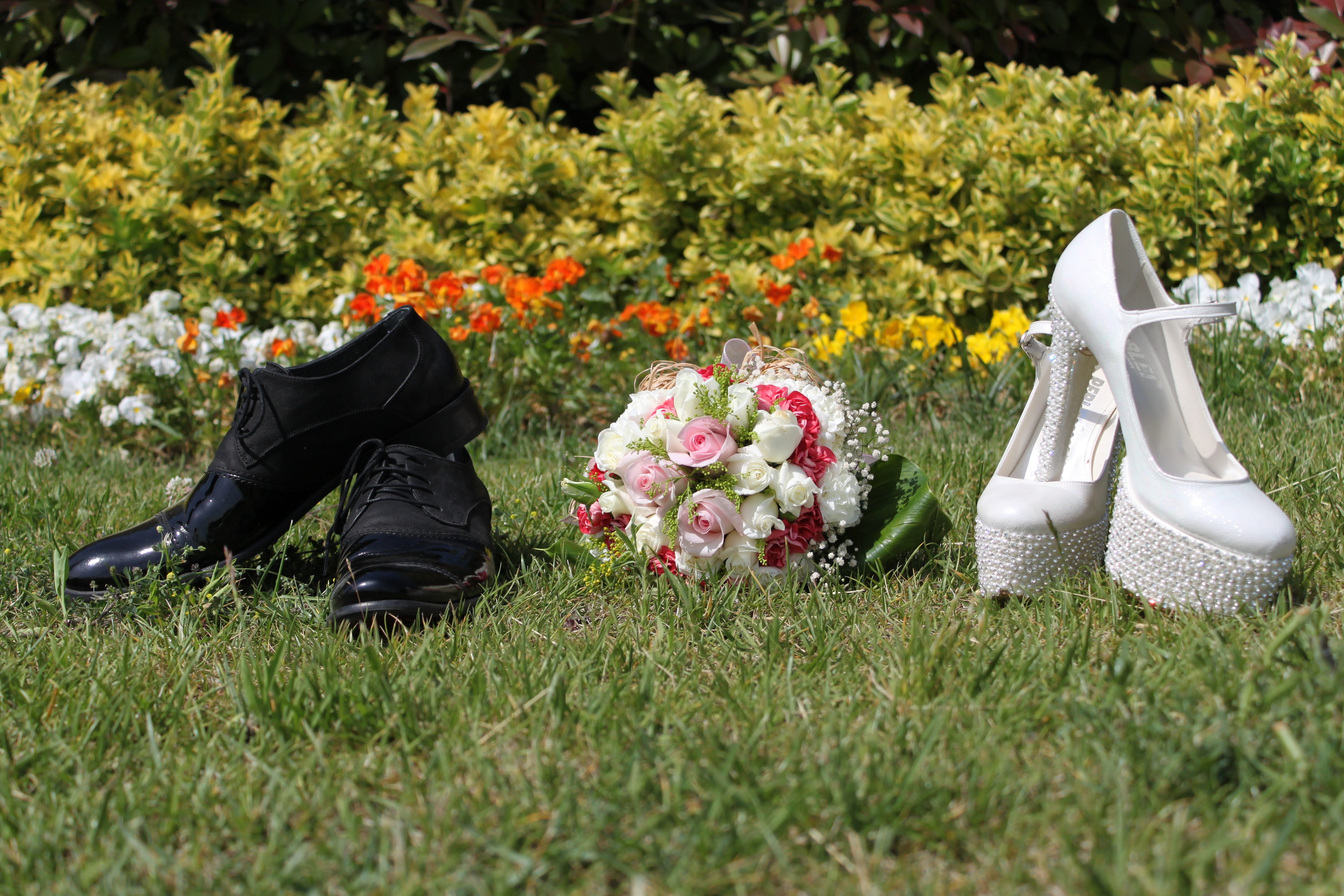growth, flowering plant, background, shoes, s, outdoors, wedding, green color, men, white, plant, album, pair, people, landscape, leisure activity, bridal, HD Wallpaper