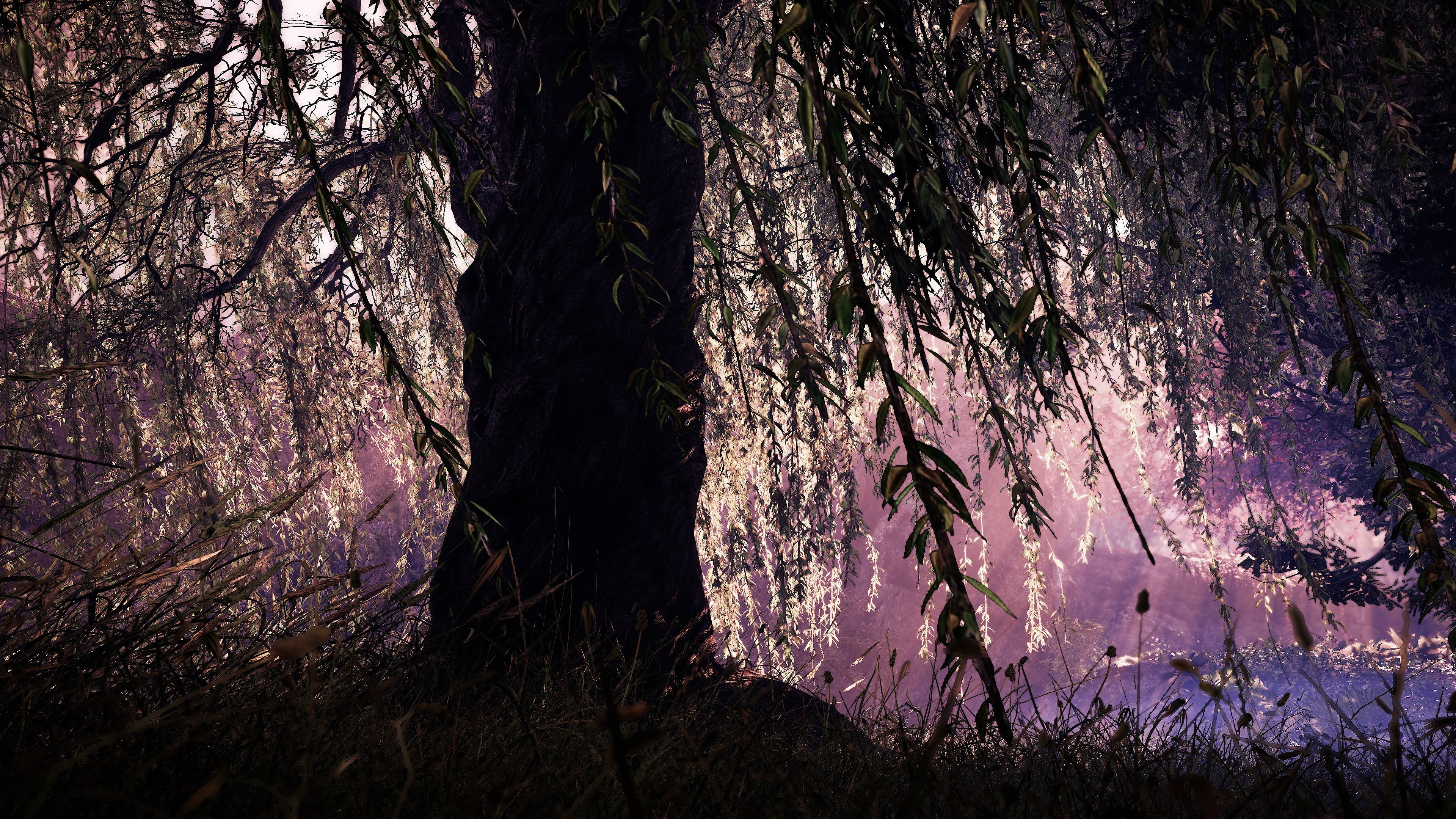 black, idyllic, tranquil scene, non-urban scene, Shadow Warrior 2, growth, bark, scenics - nature, calm, 4K, relaxing, trunk, tree trunk, video games, HD Wallpaper