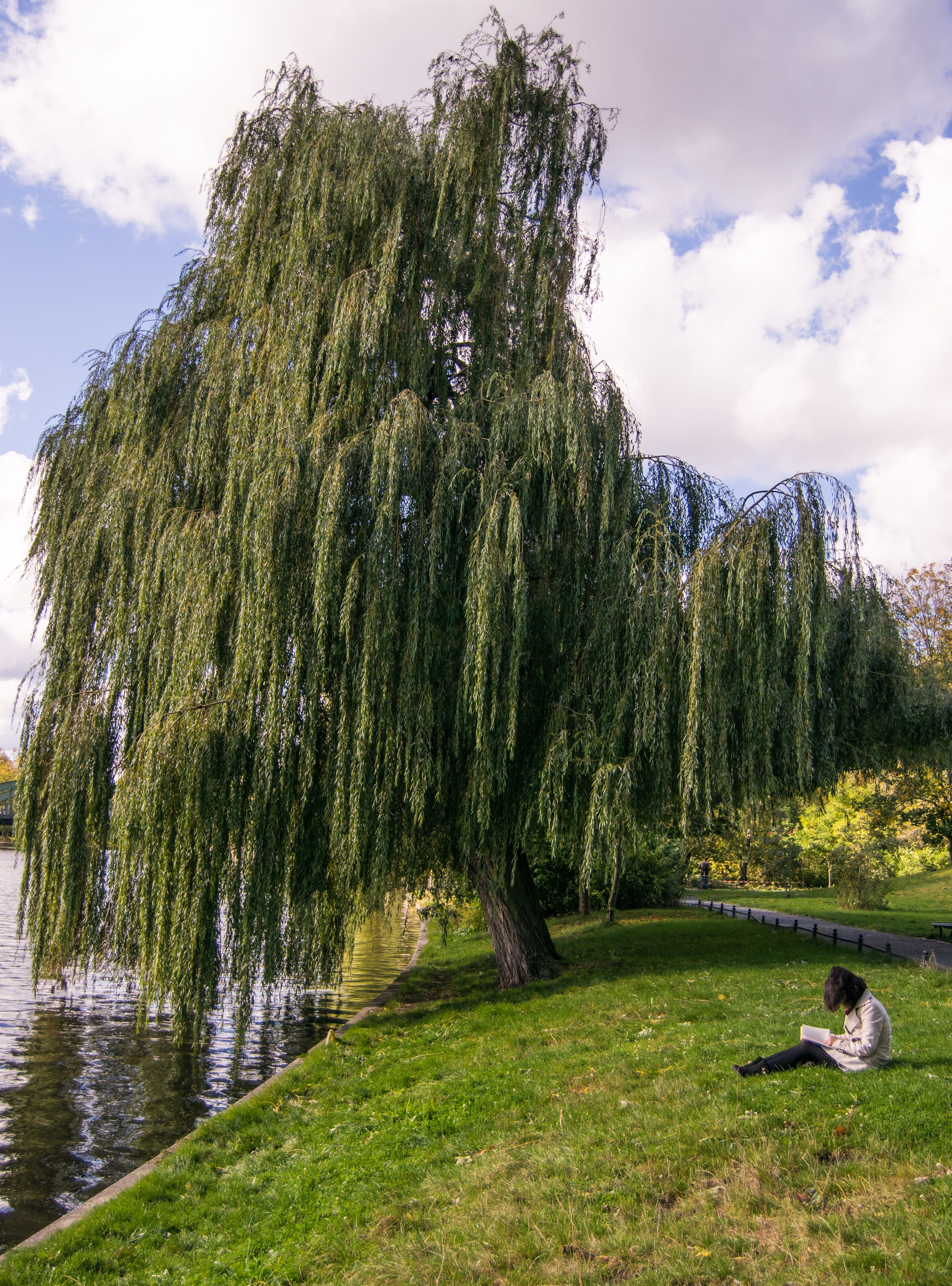 water, 5K, sky, berlin, tranquility, day, autumn, beauty in nature, scenics - nature, plant, landscape, clouds, cloud - sky, non-urban scene, pasture, Phone HD Wallpaper