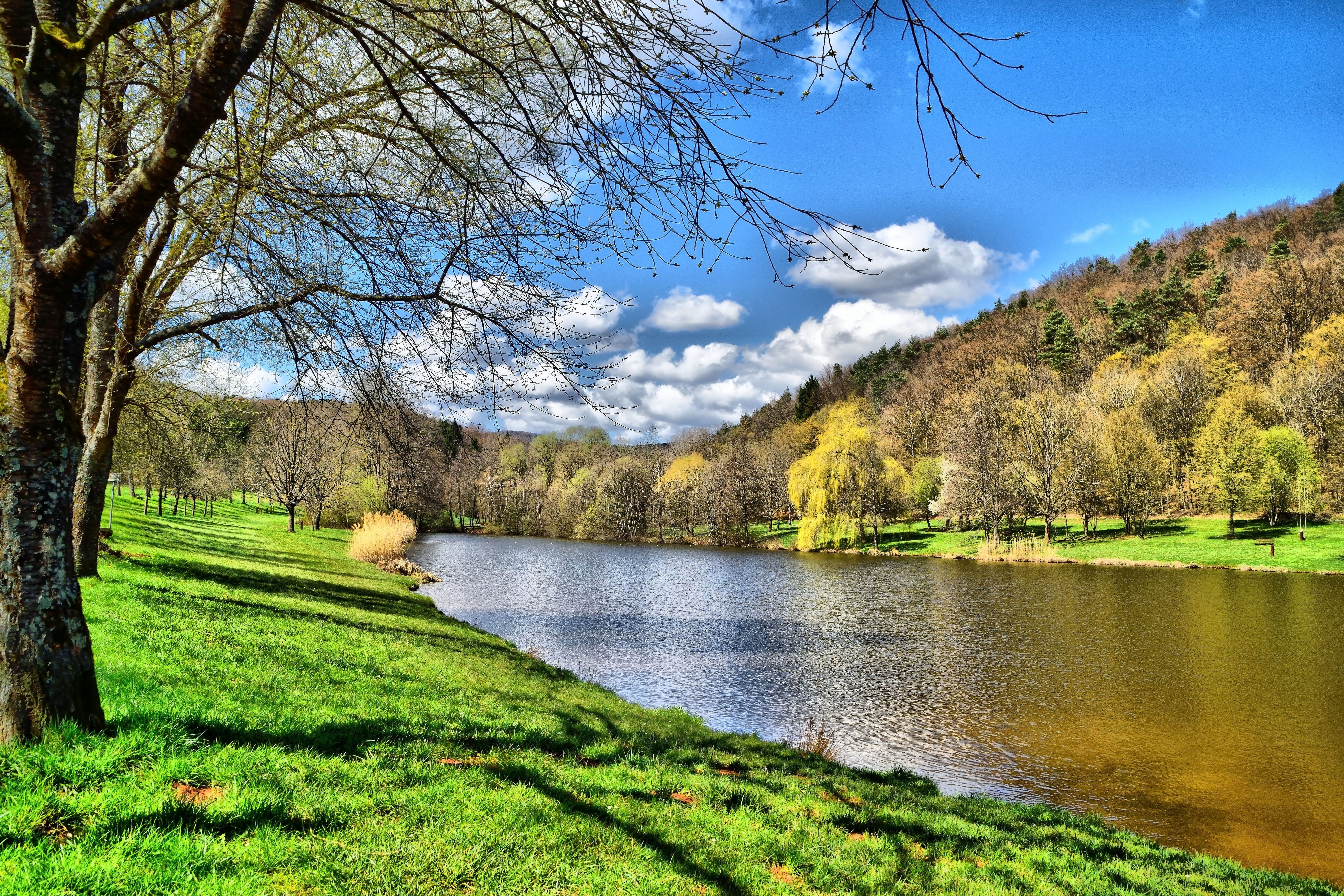 5K, park, grass, tranquility, outdoors, nature, panorama, tranquil scene, silzer lake, mountain, chill out, lake, reflection, silz, landscape, idyllic, HD Wallpaper