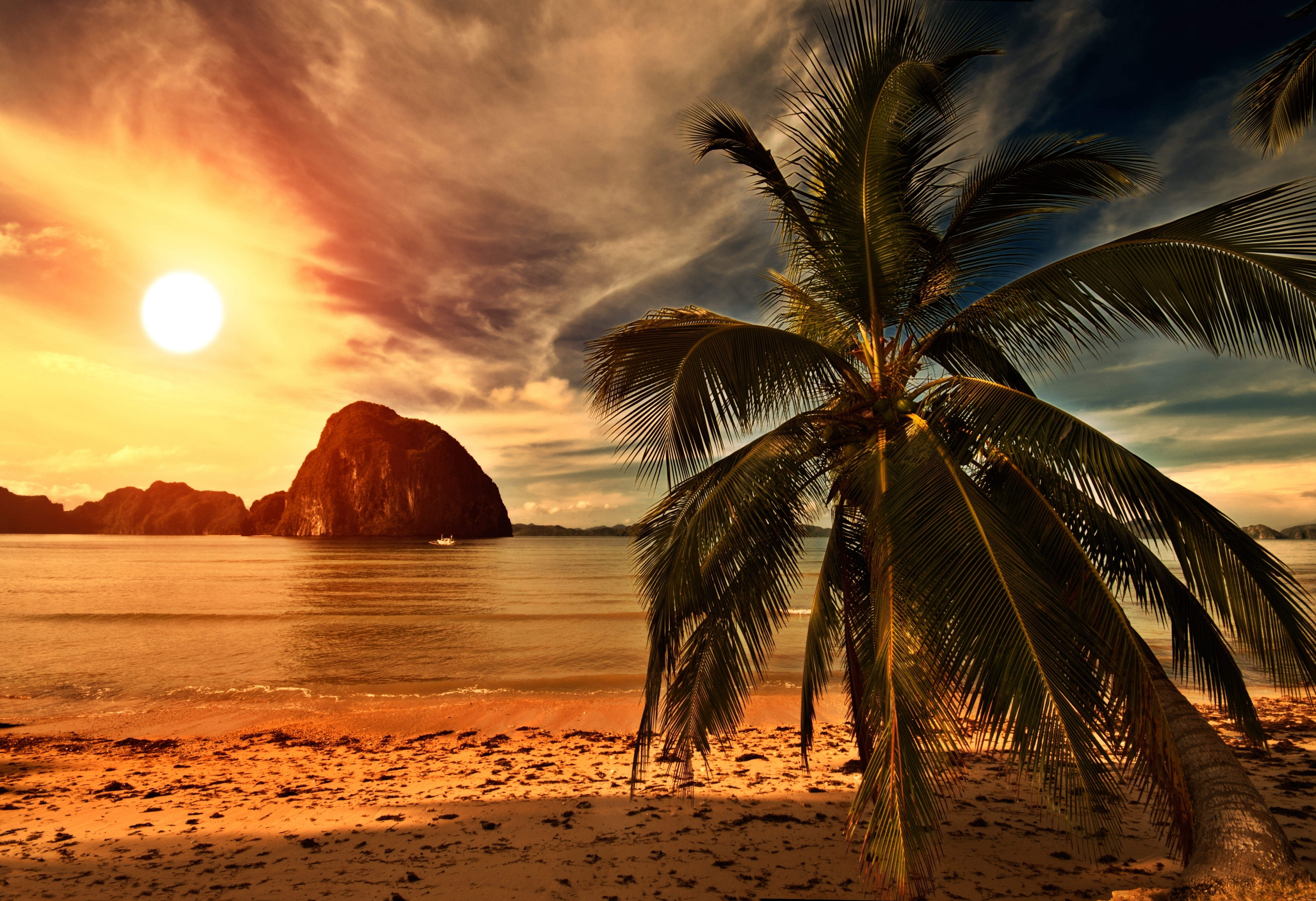 relaxation, plant, no People, silhouette, clouds, travel, tree, tropical Climate, the ocean, journey, coconut, island, ocean, 5K, the sky, weeping palm, HD Wallpaper