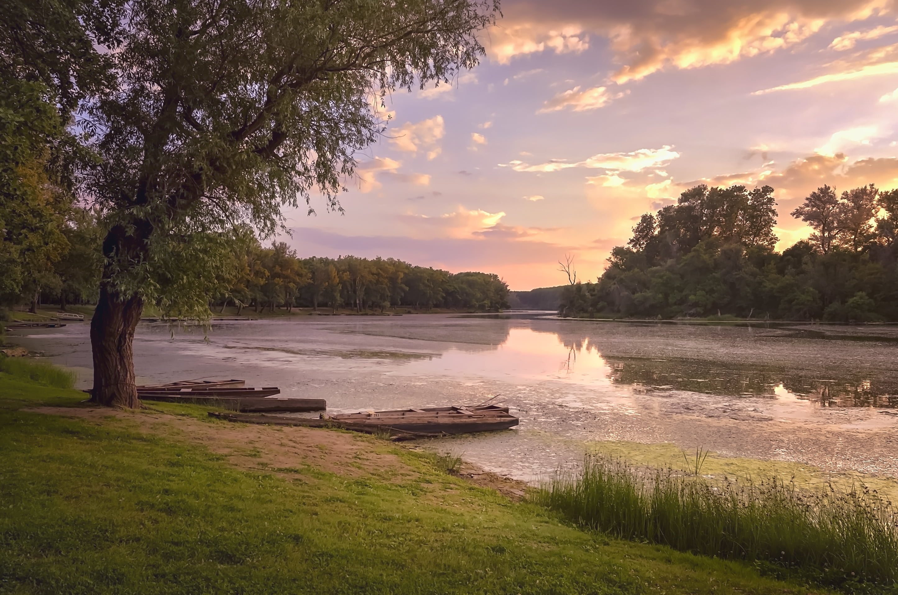 river, boat, outdoors, water, photography, Sunset, tree, DSLR, forest, 2K, nature, landscape, reflection, Nikon  d5100, sky, untitled, Thank you, leafs, HD Wallpaper