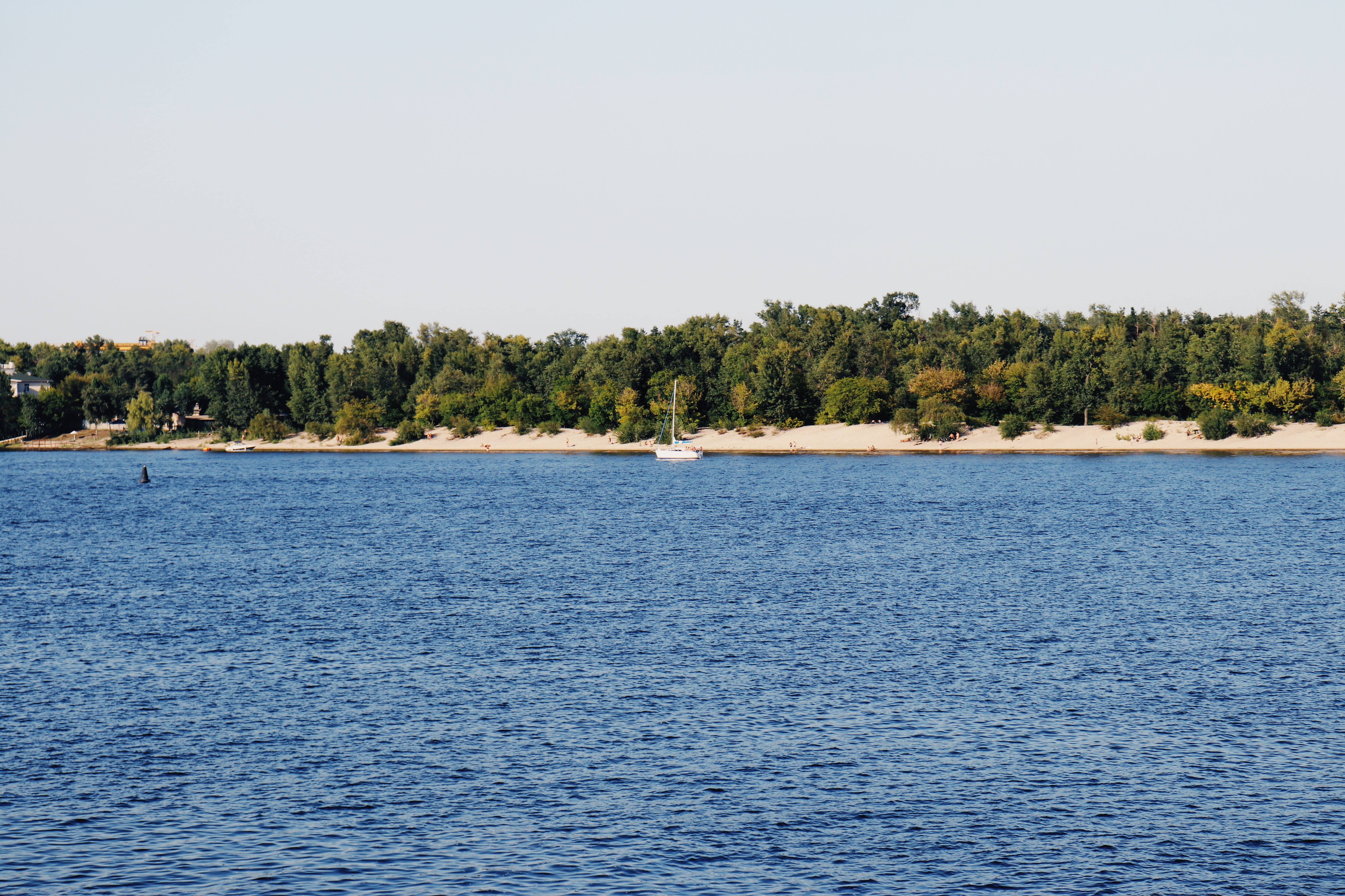 beauty in nature, tree, plant, nautical vessel, sky, ukraine, tranquil scene, land, tranquility, view into land, day, outdoors, coniferous tree, pine tree, HD Wallpaper