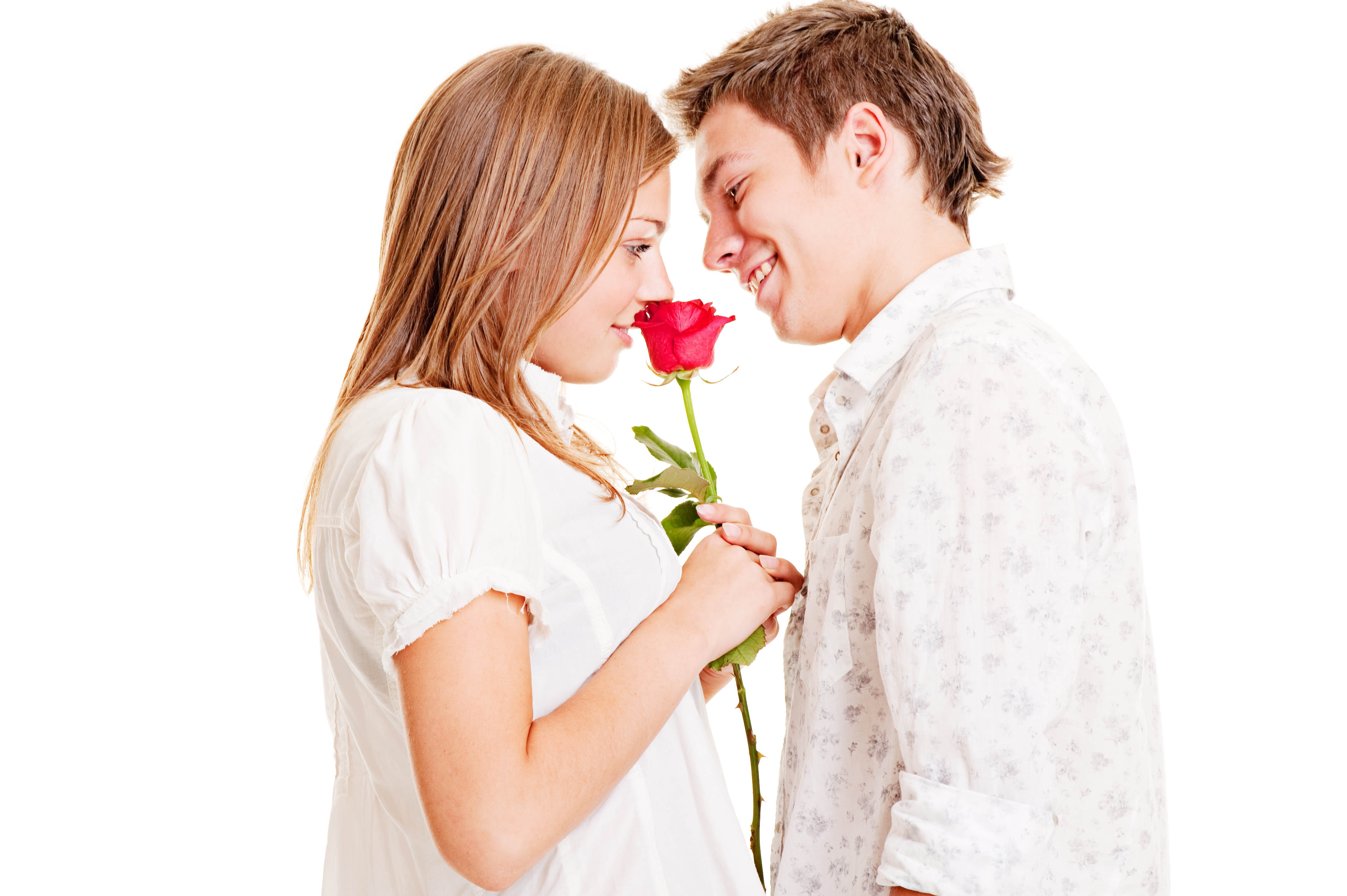 falling in love, rose, beauty, single Flower, beautiful, young couple, cheerful, bouquet, emotion, smiling, loving, face to face, women, holding, 4K, male, HD Wallpaper