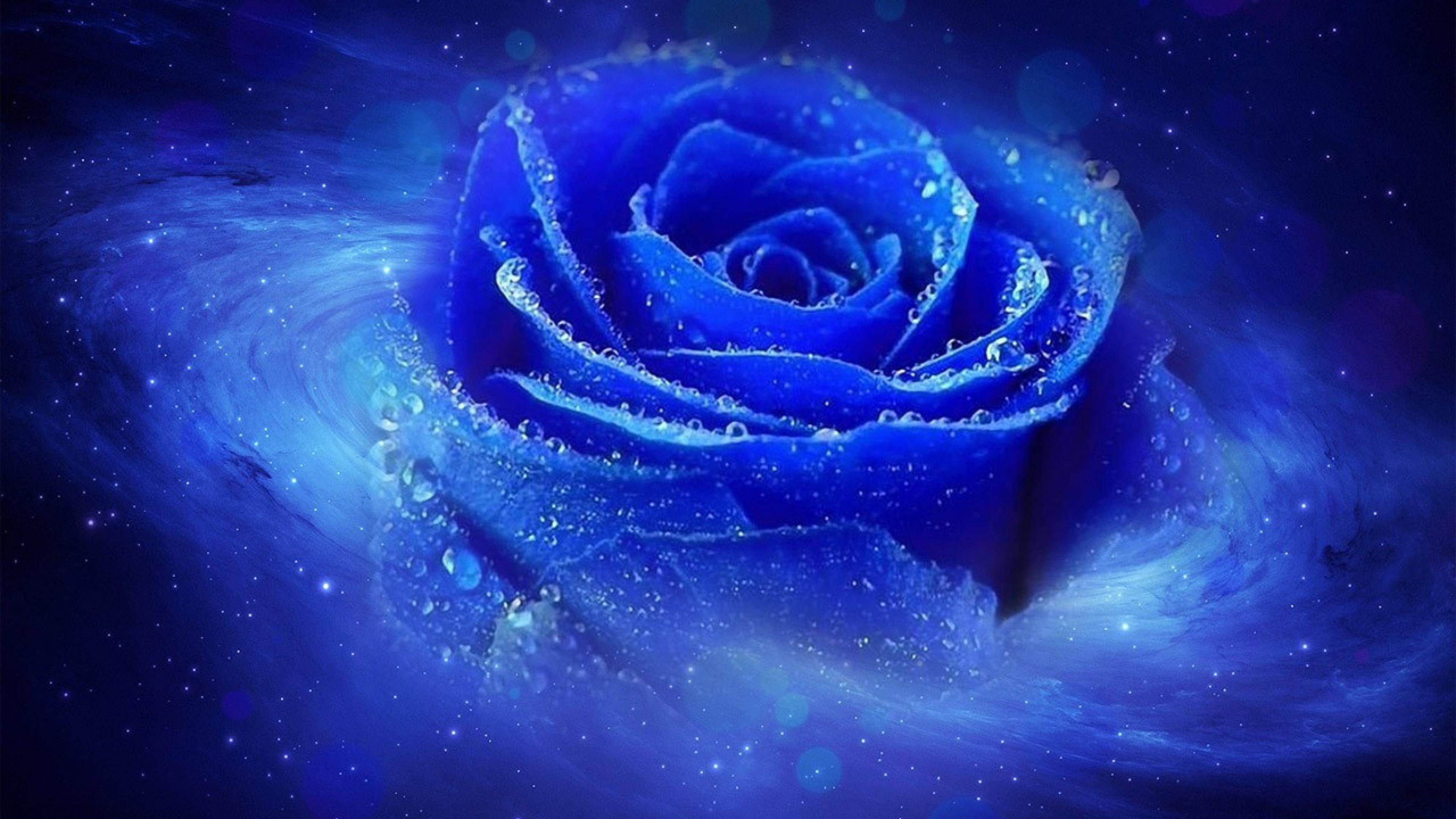 electric blue, artwork, dew, drops, sky, blue rose, blue, 4K, swirl, rose family, artistic, flower, dewy, rose, digital art, HD Wallpaper