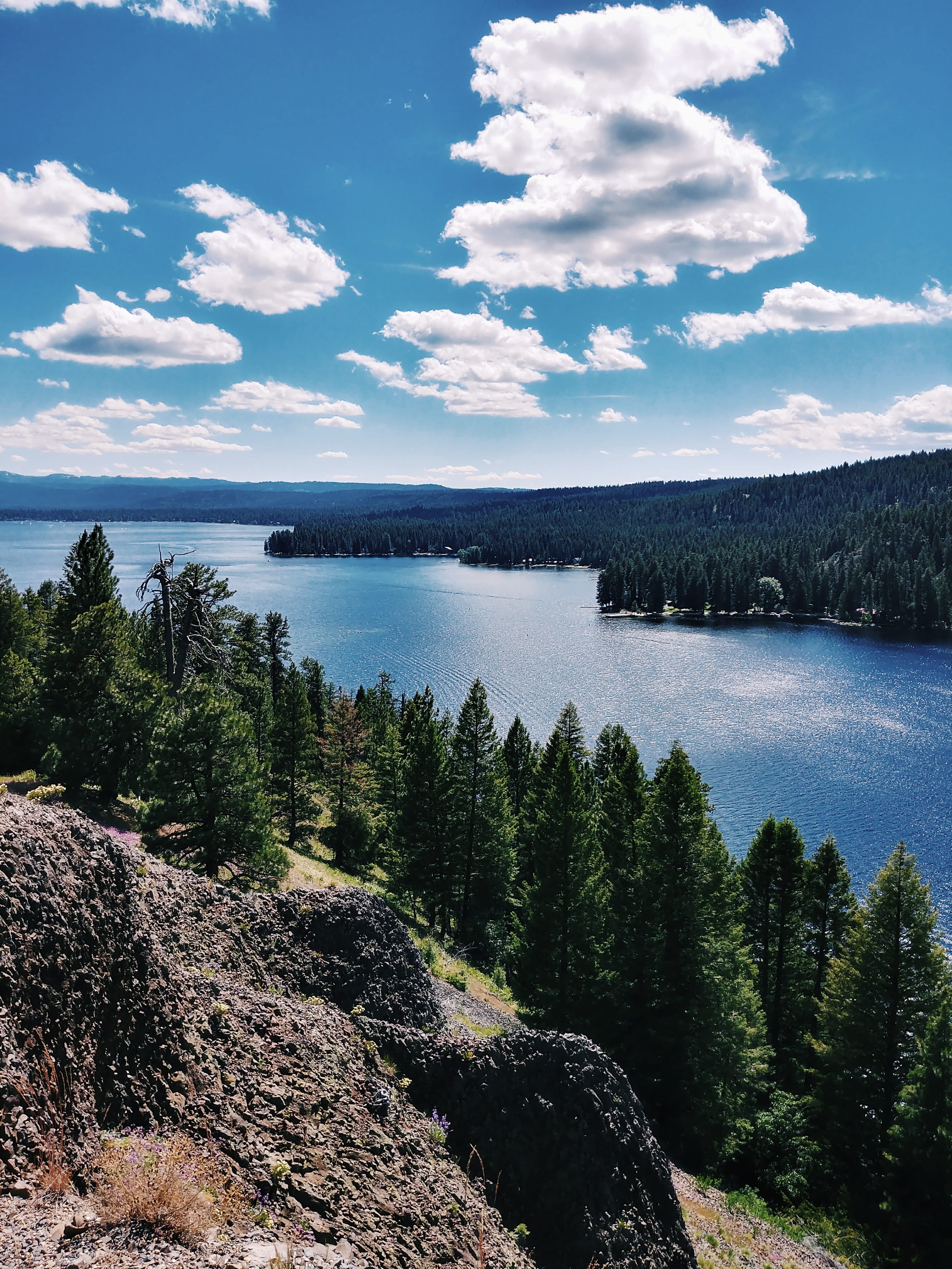 idyllic, sky, pine trees, summer, mccall, mountains, tranquil scene, conifer, beauty in nature, spruce, day, rock - object, nature, fir, plant, land, united states, Phone HD Wallpaper