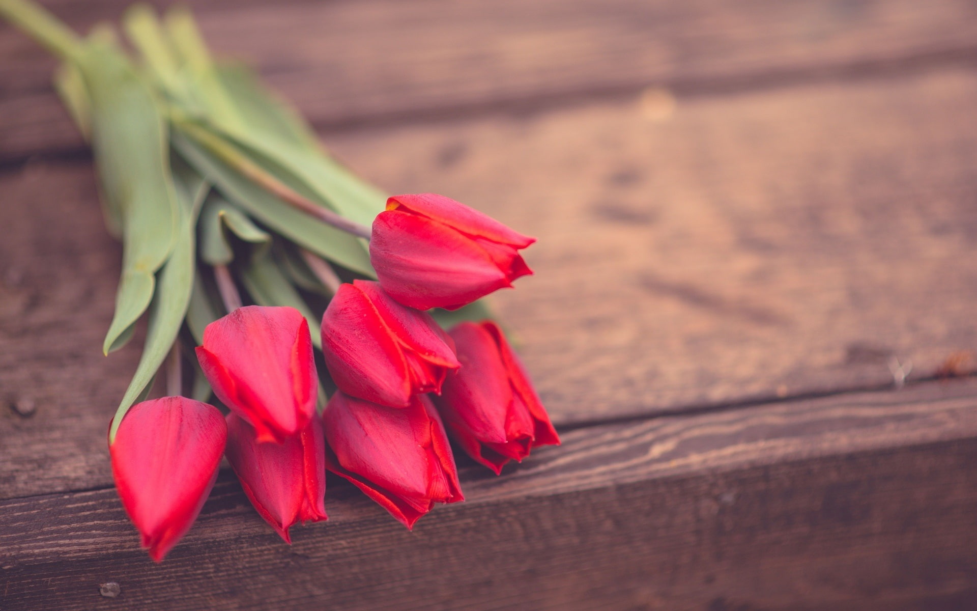 Wood, Flowers, Tulip, Board, 1080P, Red, HD Wallpaper