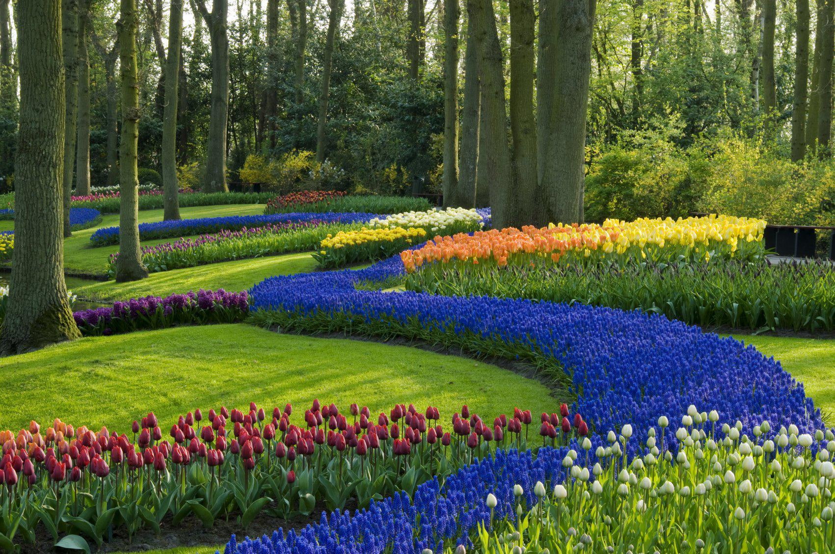 720P, garden, landscapes, background, park, landscape, hd, HD Wallpaper