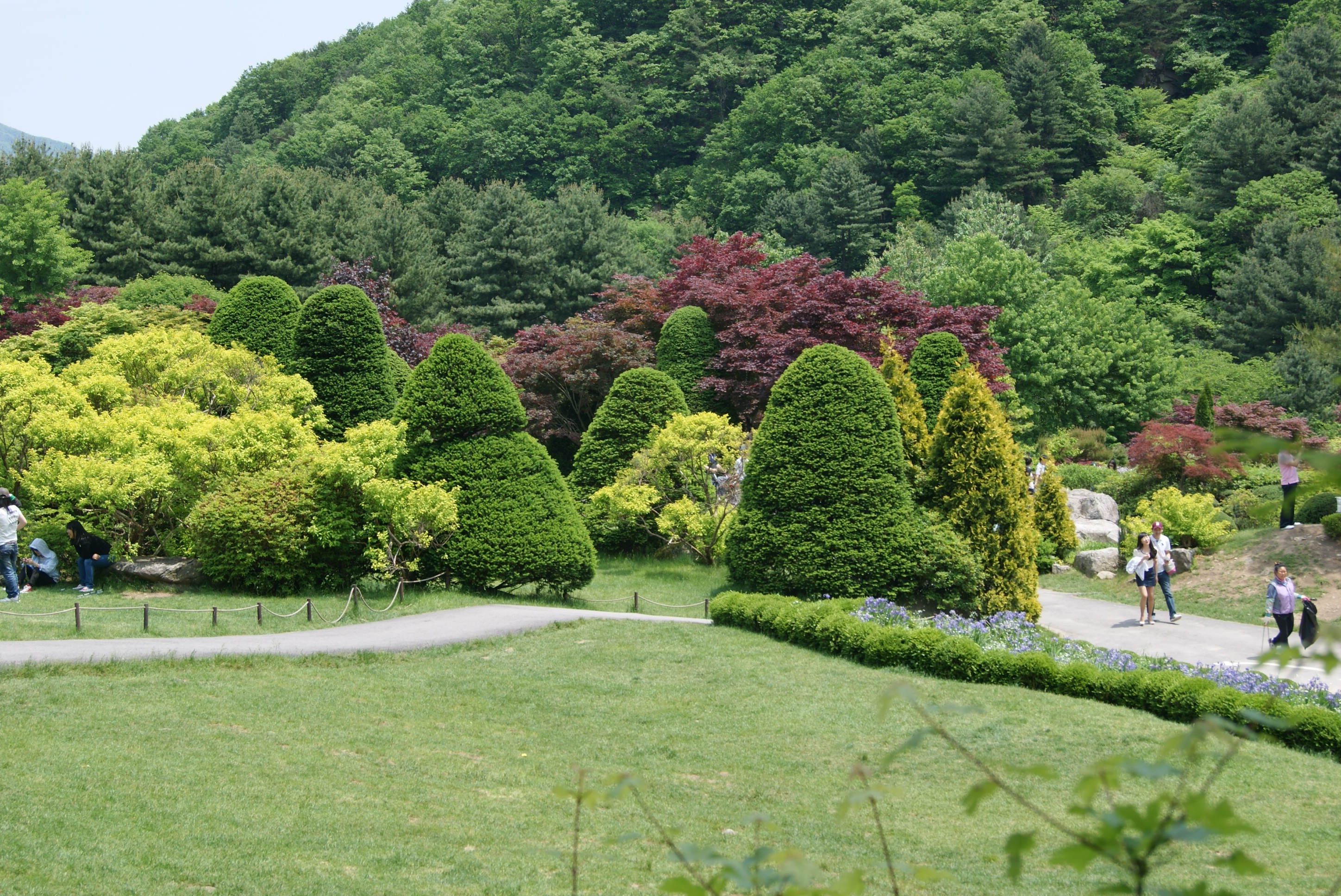 park, a flower garden, green color, 2K, tranquil scene, outdoors, scenics - nature, beauty in nature, hedge, formal garden, foliage, tranquility, garden, HD Wallpaper