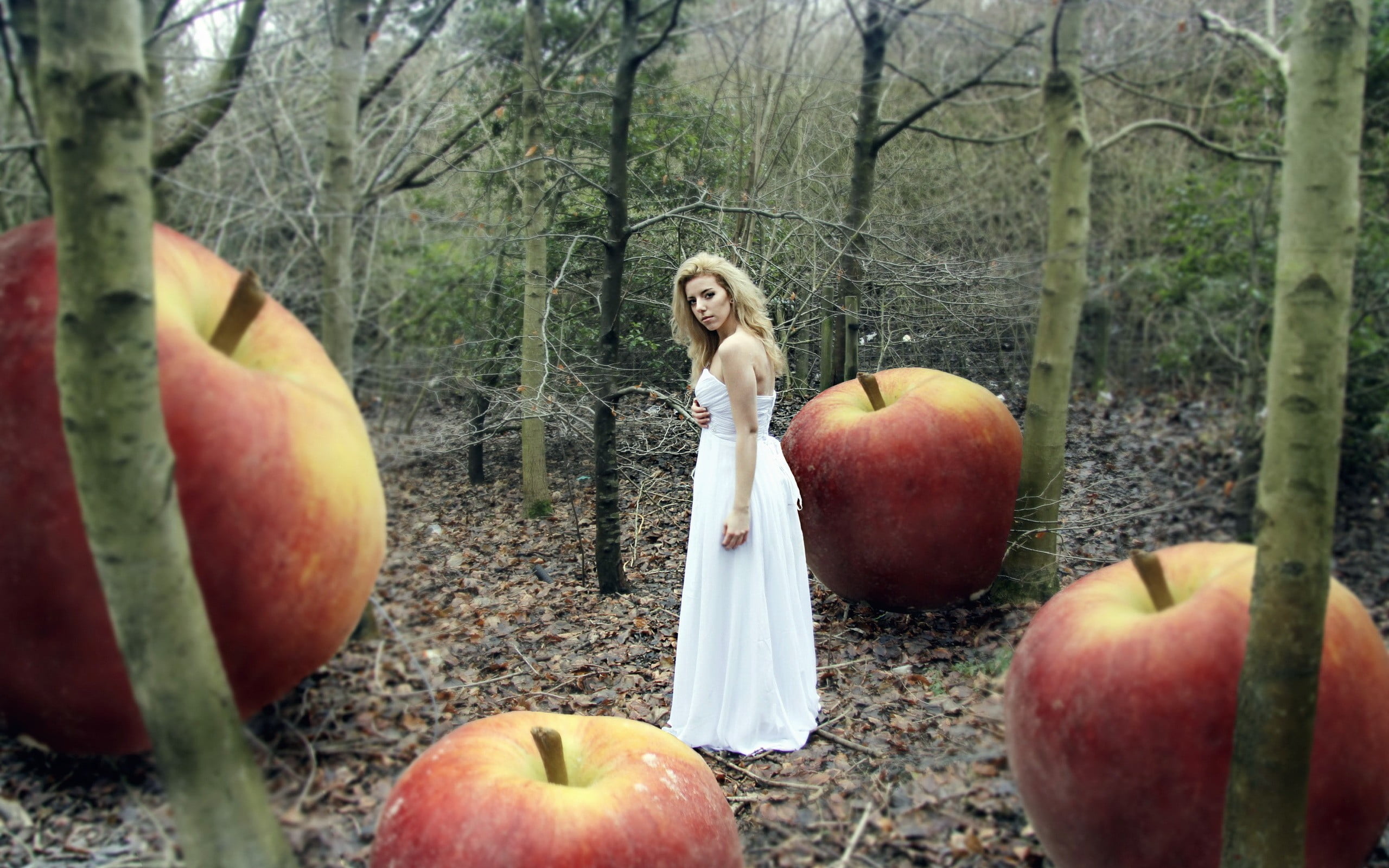 branch, outdoors, leaves, model, one person, land, selective focus, plant, women, white dress, women outdoors, nature, standing, day, looking at viewer, HD Wallpaper