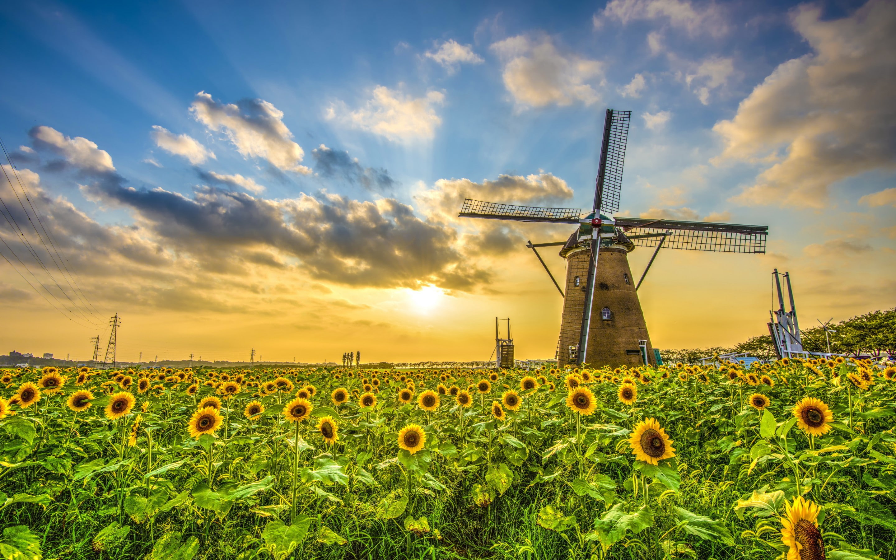 space, sun, sunflower, mill, lighthouse, sunflowers, clouds, yellow, sky, field, 2K, HD Wallpaper