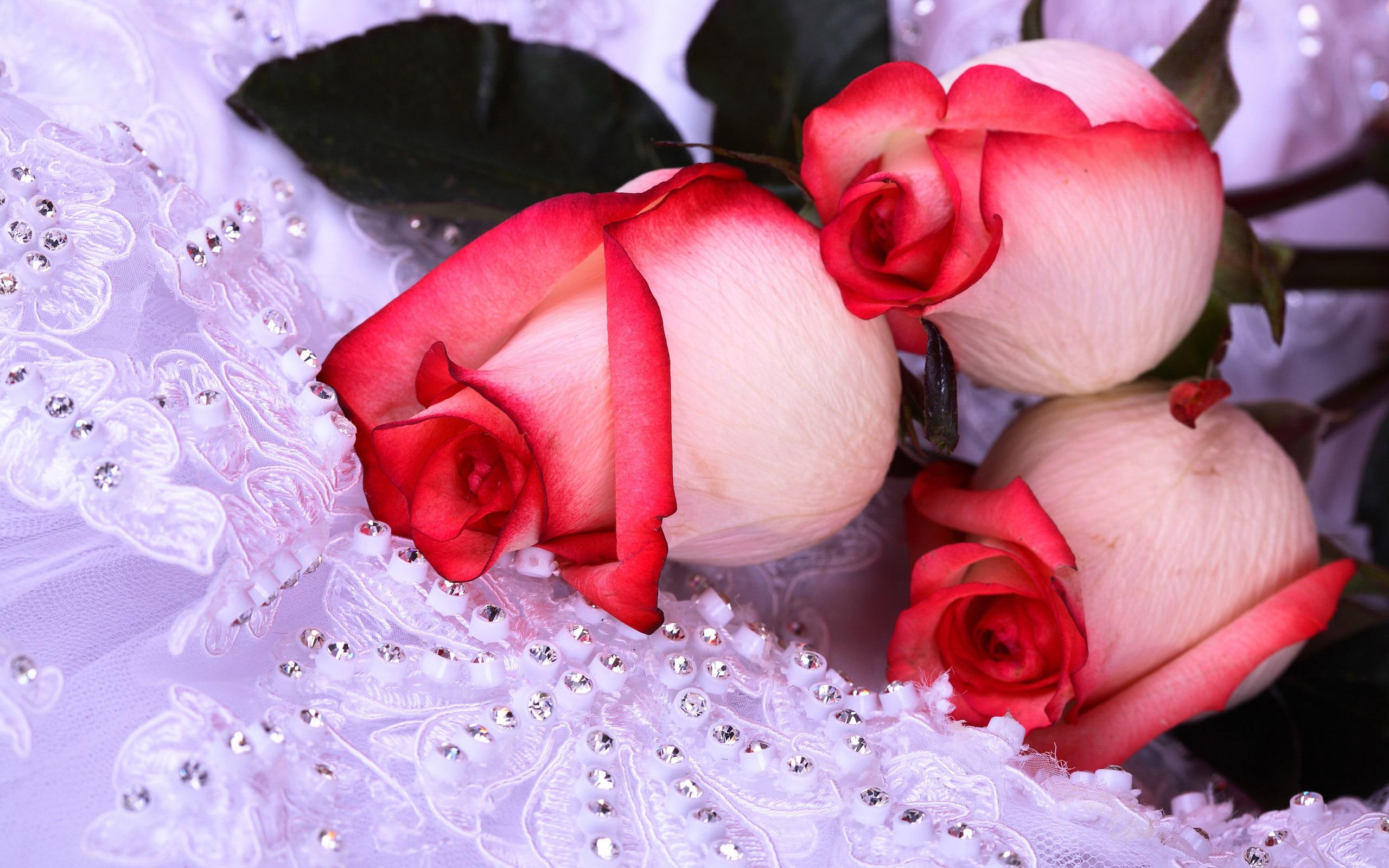 flowers, wedding, three, 2K, nature, white, pink, bunch of flowers, 3d and abstract, roses, nice, red, HD Wallpaper