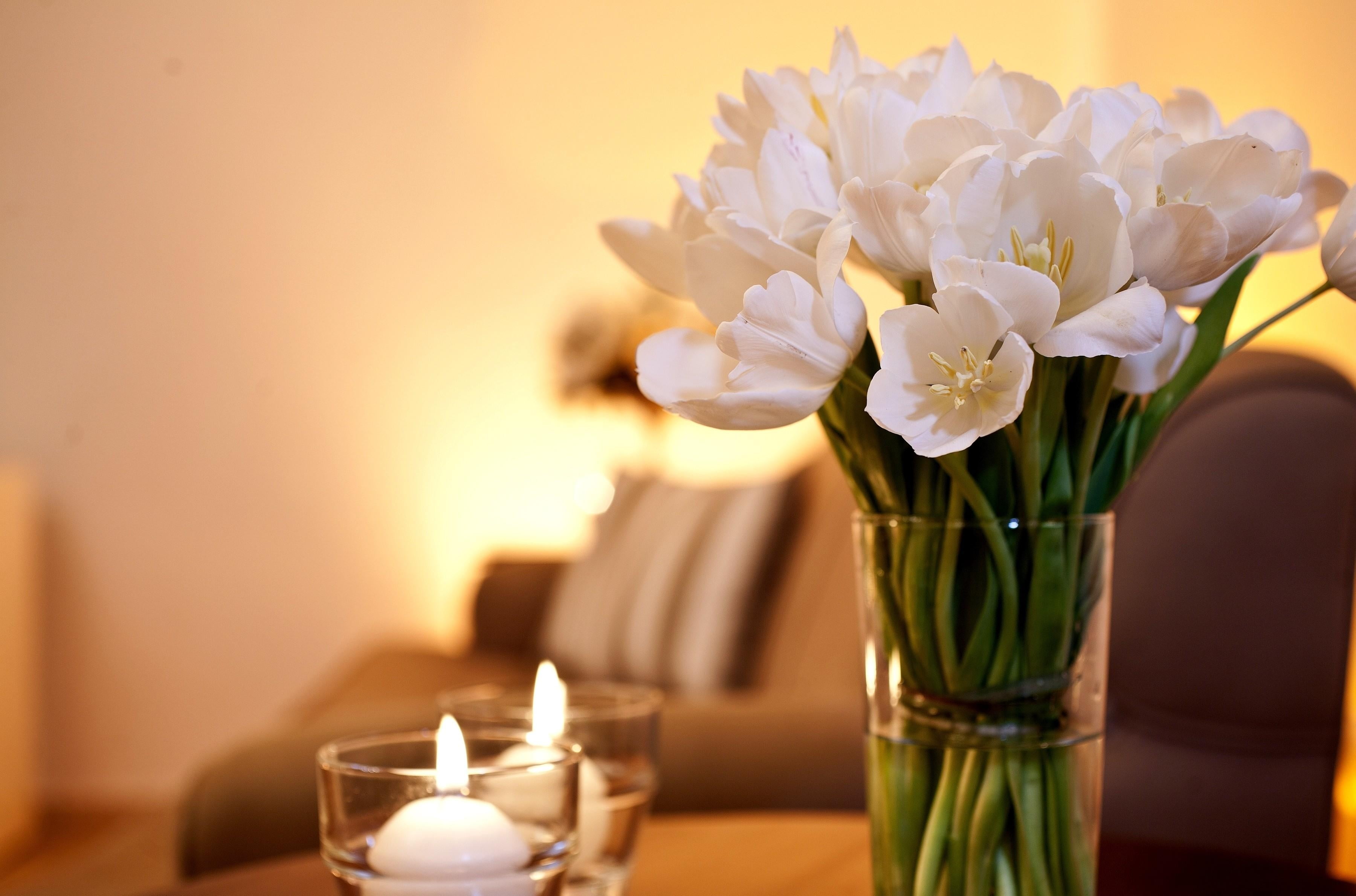 glass, freshness, beauty in nature, flowering plant, celebration, candles, glass - material, indoors, arrangement, drink, table, wedding, decoration, decor, HD Wallpaper