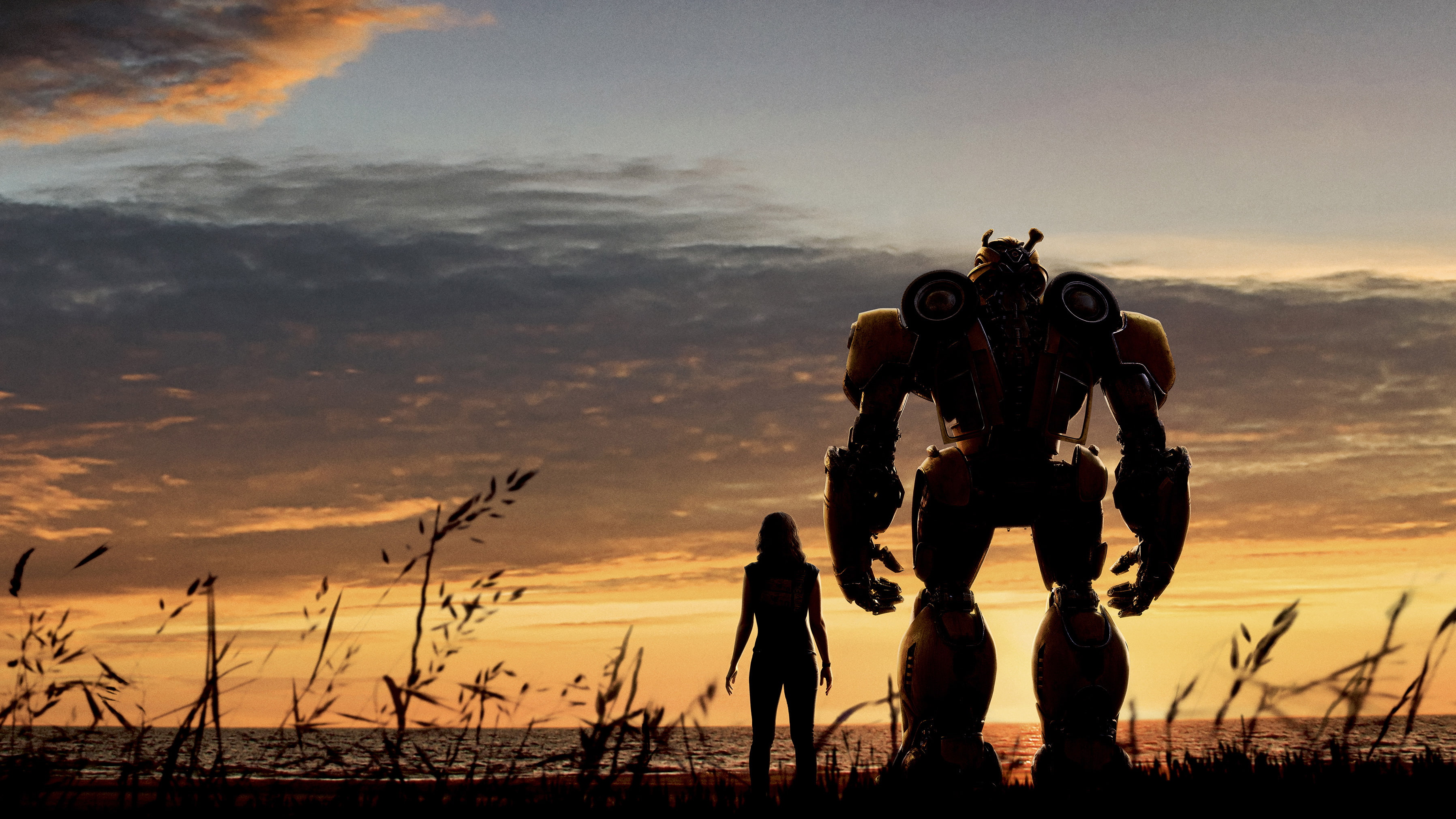 bumblebee, movies, 2K, hailee steinfeld, 2018 movies, poster, 4k, hd, HD Wallpaper