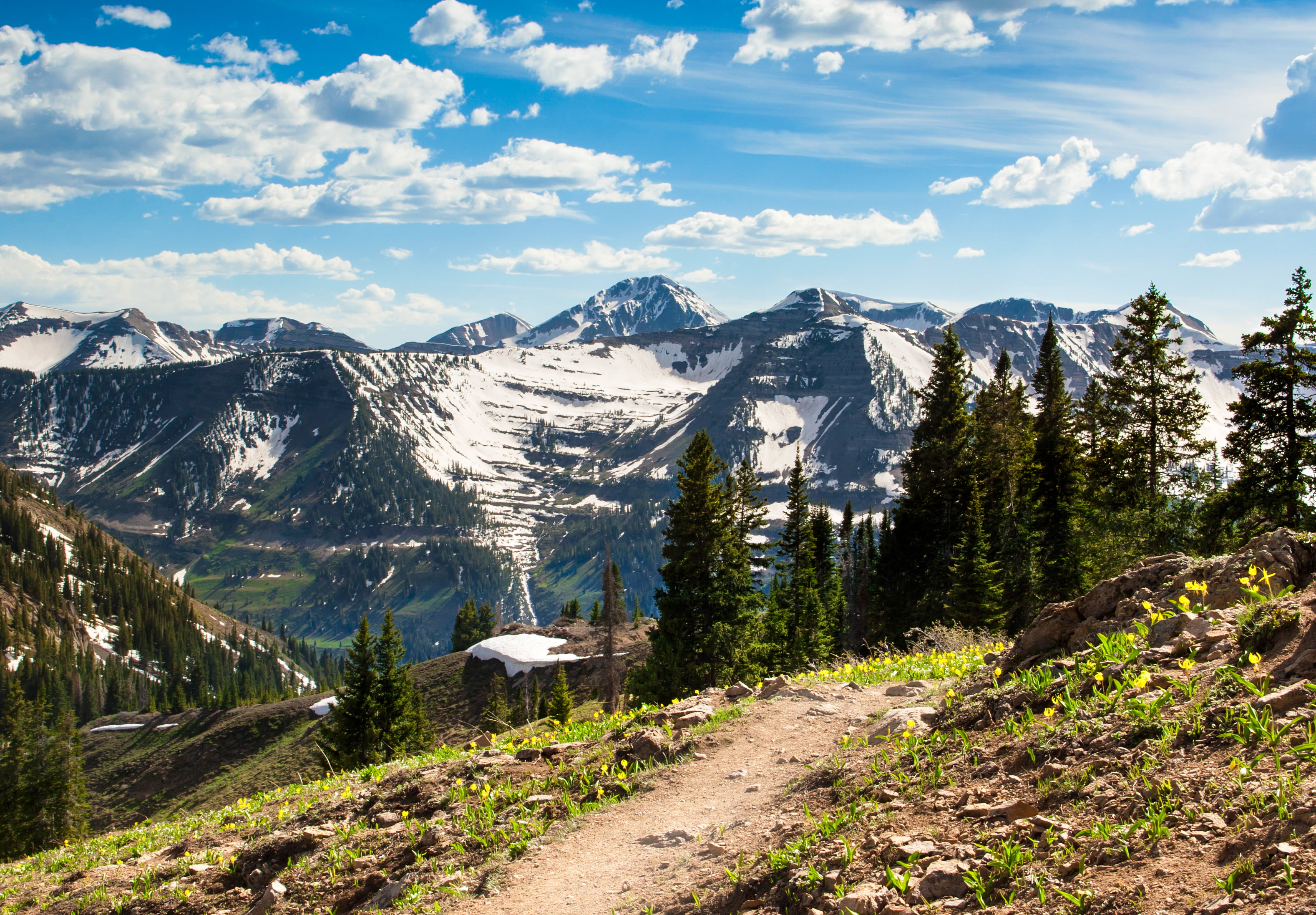 2K, Step by step, Flickr, hike, mountain view, landscape, tree, daytime, Rockies, processed, view, scenics, trail, mountain, Colorado, forest, breath, HD Wallpaper