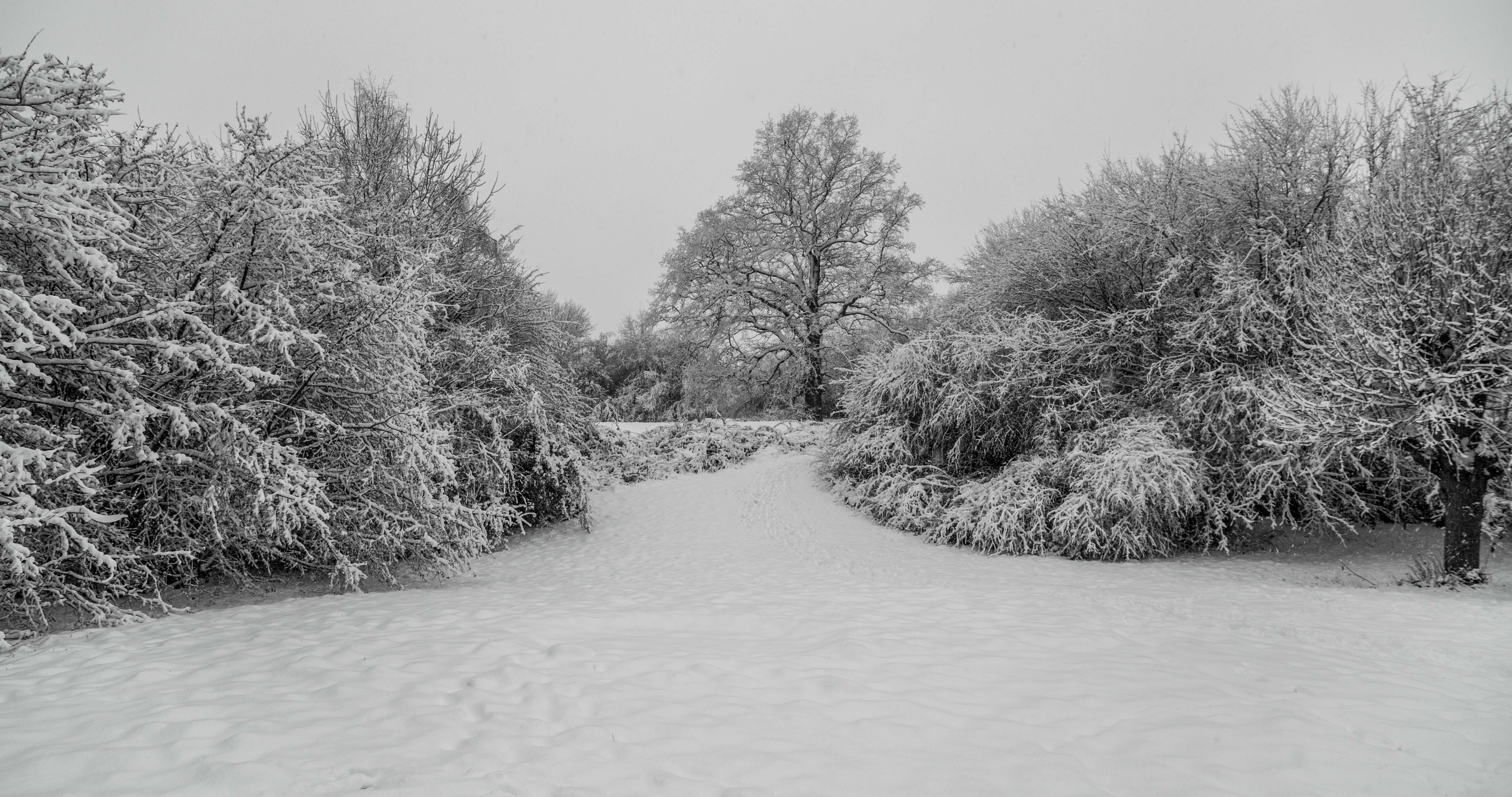 no people, harry potter studio tour, beauty in nature, watford, diminishing perspective, sky, winter, united kingdom, nature, snow, outdoors, cold temperature, HD Wallpaper