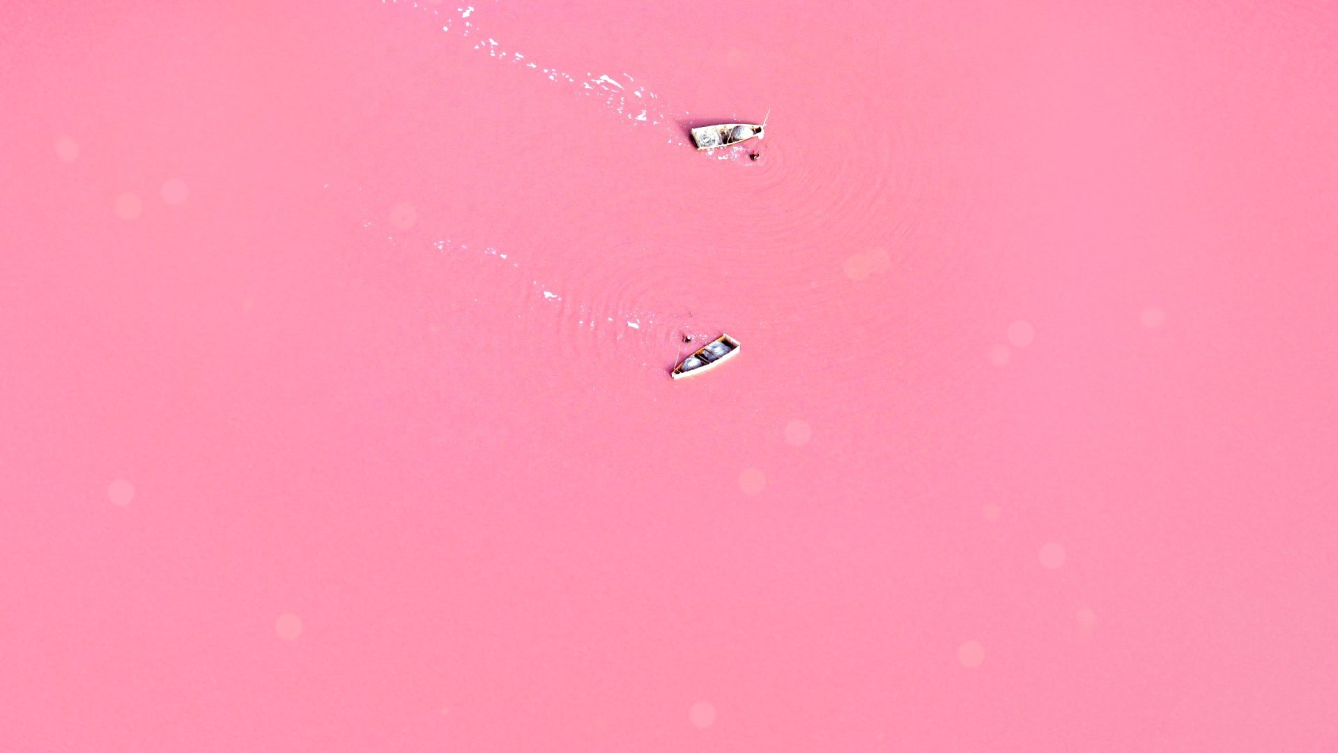 backgrounds, red, PINK, mid-air, 1920x1080 px, motion, x, no people, people, close-up, pink color, drop, wet, purity, purple, Love, colored background, HD Wallpaper
