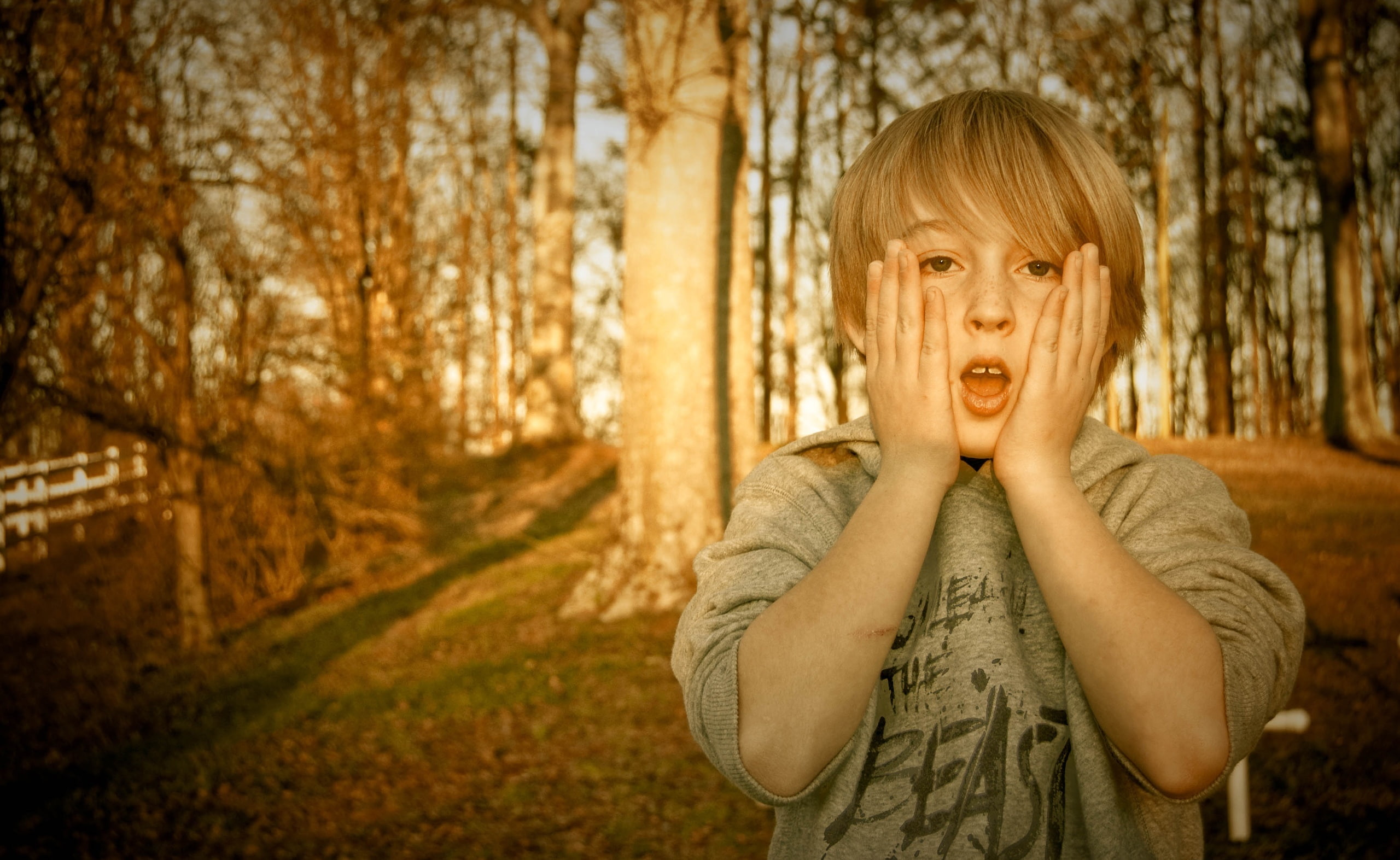 human face, mouth, child, waist up, pullover, s, offspring, boy, mouth open, front view, childhood, hoodie, land, Cute, one person, Randolph County, gray, HD Wallpaper