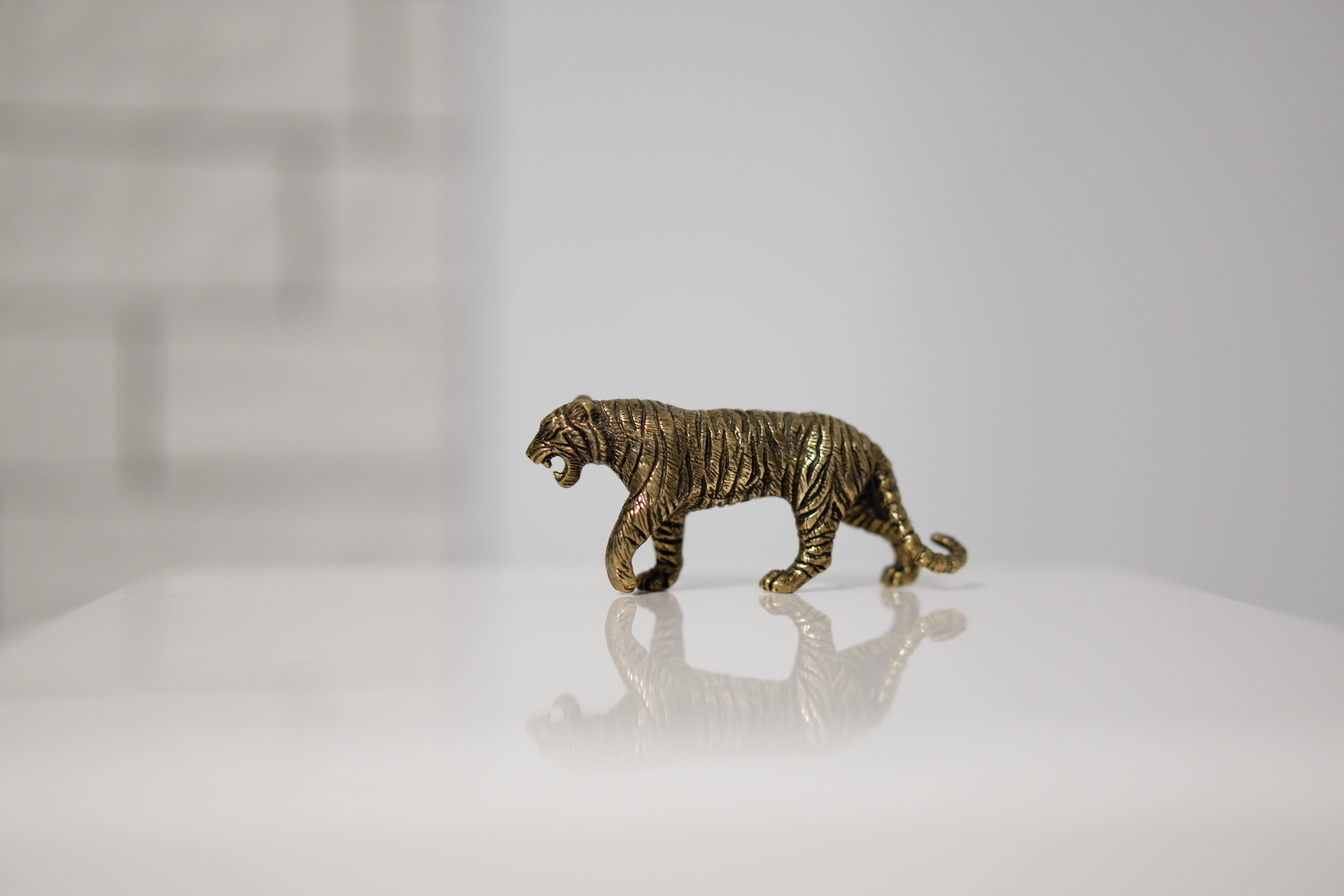 art and craft, wildlife, lynx, brown bear, shanghai, bull, livestock, animal wildlife, white color, bronze, 5K, pet, indoors, toy, copper tiger from russia, HD Wallpaper
