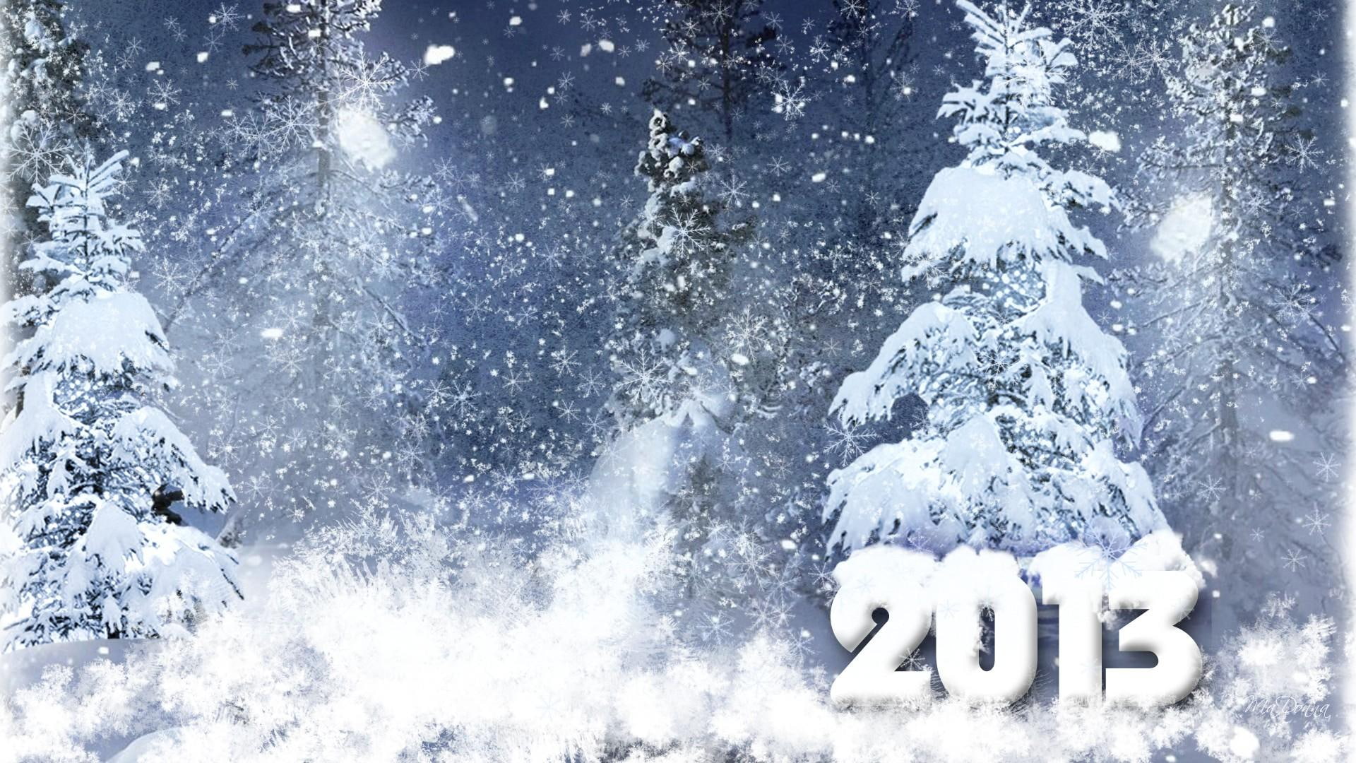 forest, snowflakes, snow, nature and landscapes, new year, cold, wonderland, 1080P, winter, blue, trees, 2013, HD Wallpaper