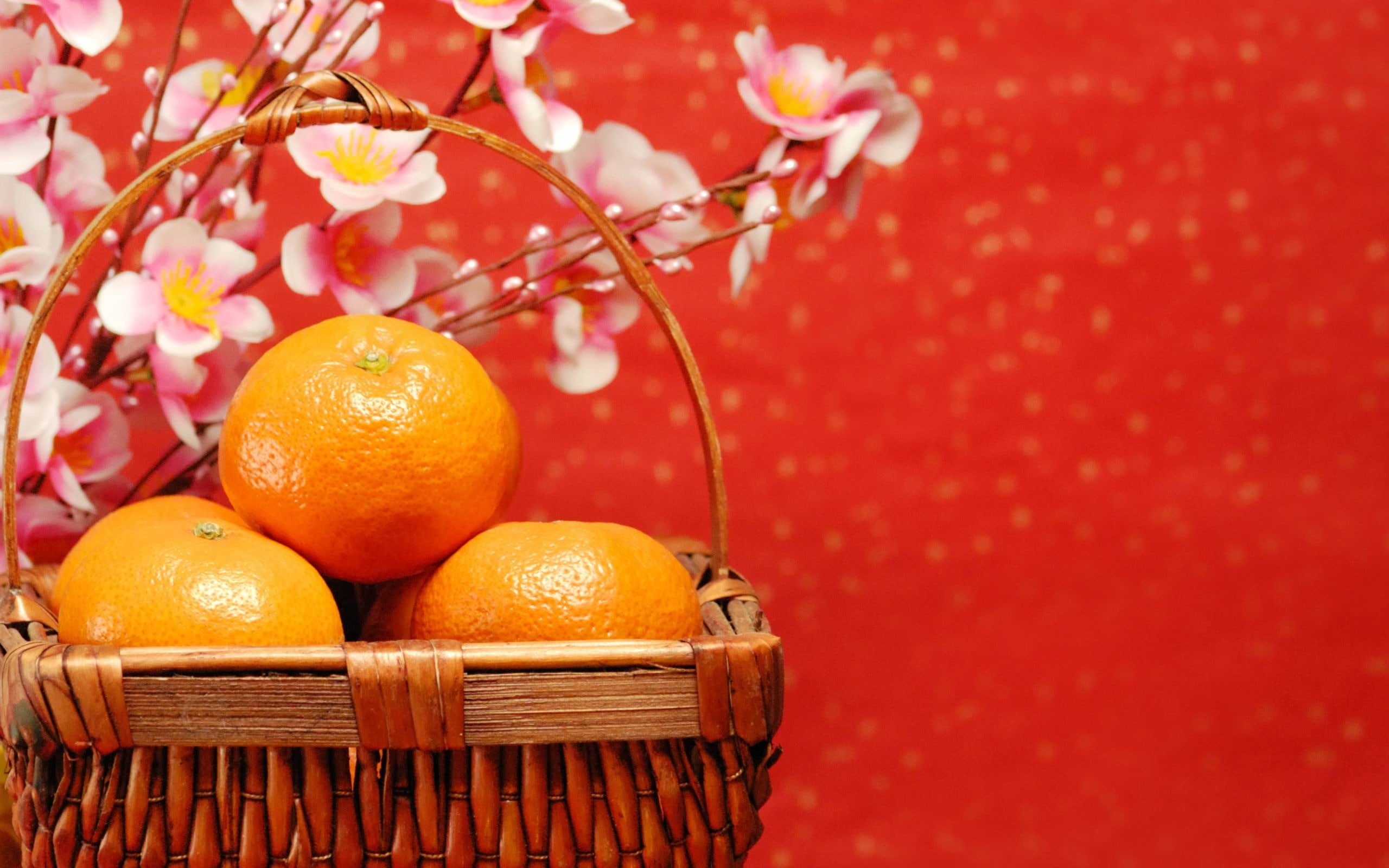 plant, tree, 2K, food and drink, orange - fruit, fruit, nature, year, fruits, desktop, wellbeing, theme, basket, focus on foreground, healthy eating, HD Wallpaper