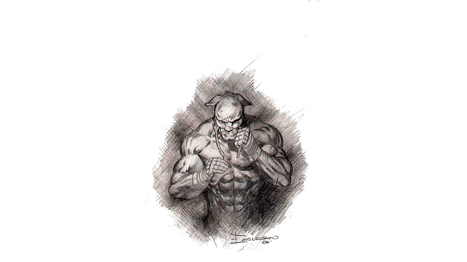 Wildcat (DC Comic), 1080P, Comics, Justice Society of America, HD Wallpaper