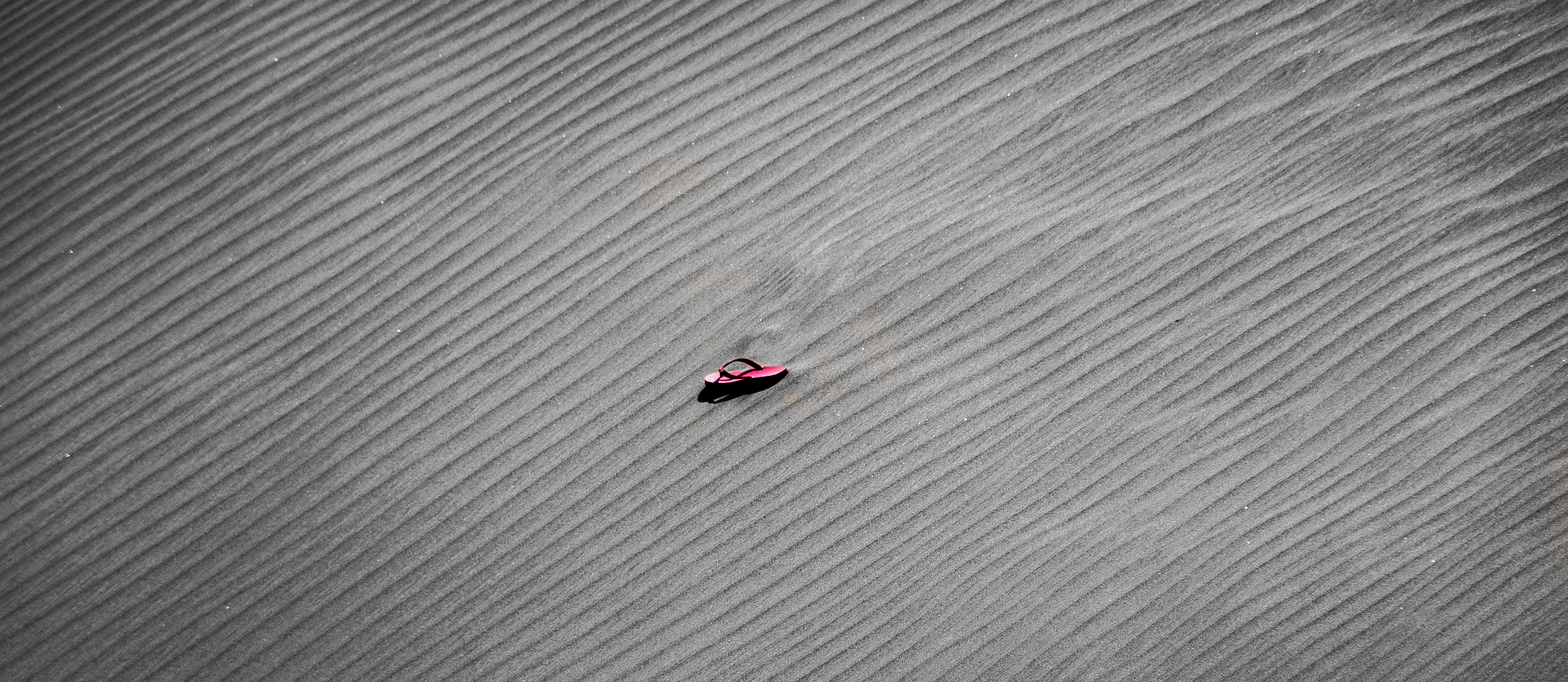 high angle view, flip flop, scenics - nature, plastic, ladybug, beauty in nature, land, field, sandal, sun, beach shoes, black white, aerial view, landscape, HD Wallpaper