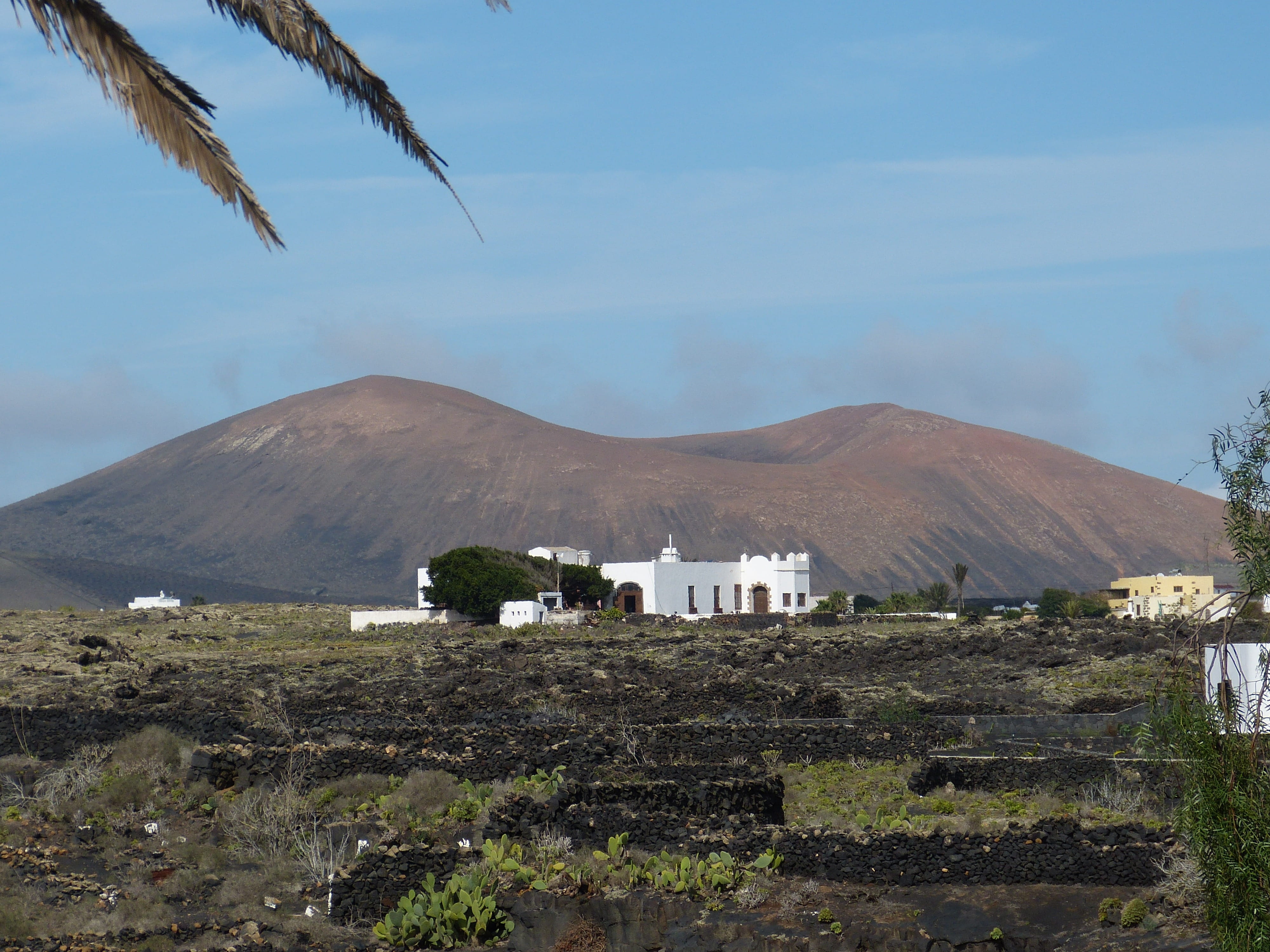 no people, nature, tree, spain, 4K, land, white, home, architecture, volcanic, dry, building, Lanzarote, environment, travel Locations, day, tranquility, HD Wallpaper