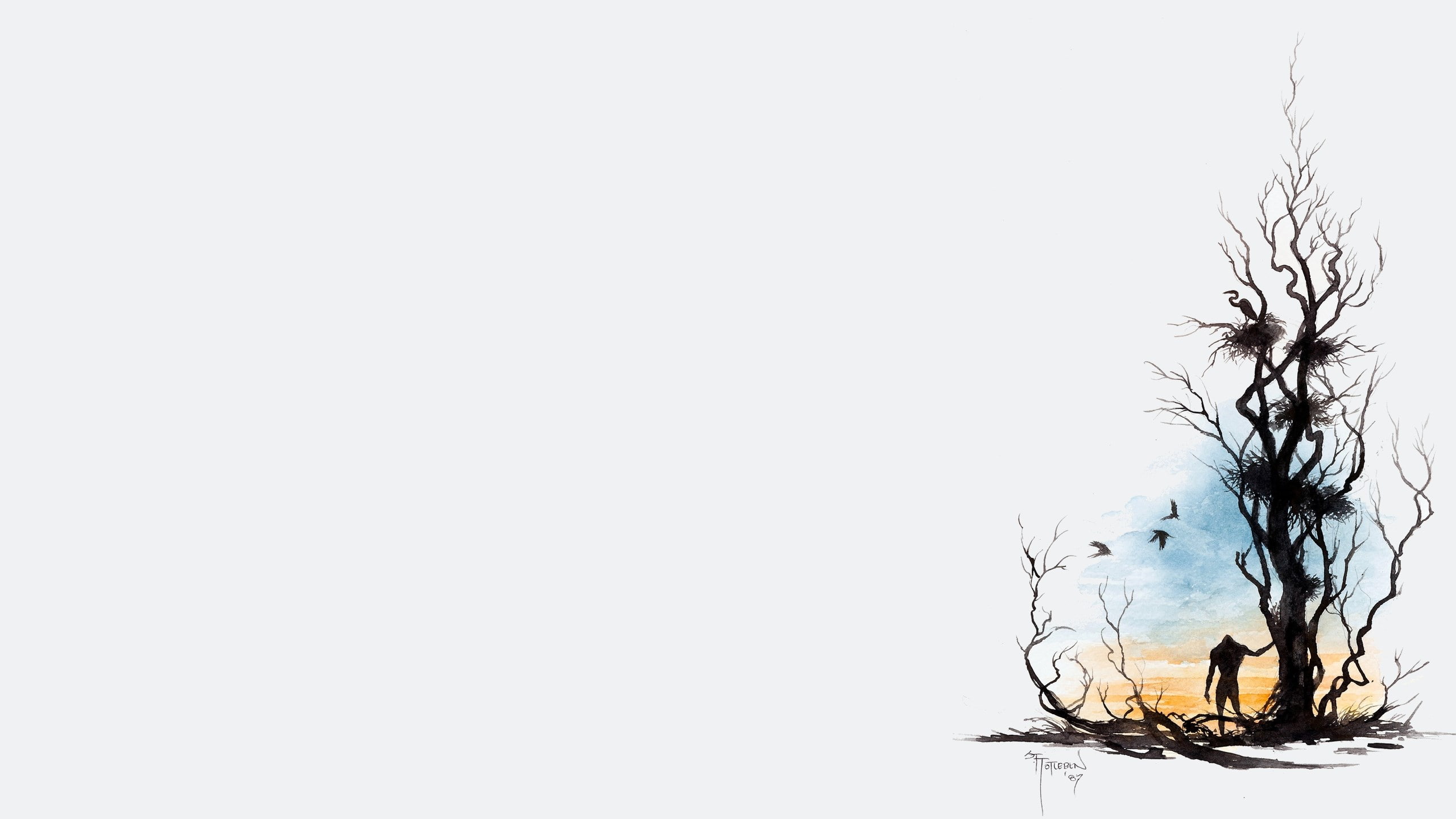 snow, no people, sky, tree, branch, tranquility, beauty in nature, scenics - nature, white color, copy space, winter, bare tree, cut out, nature, clear sky, HD Wallpaper