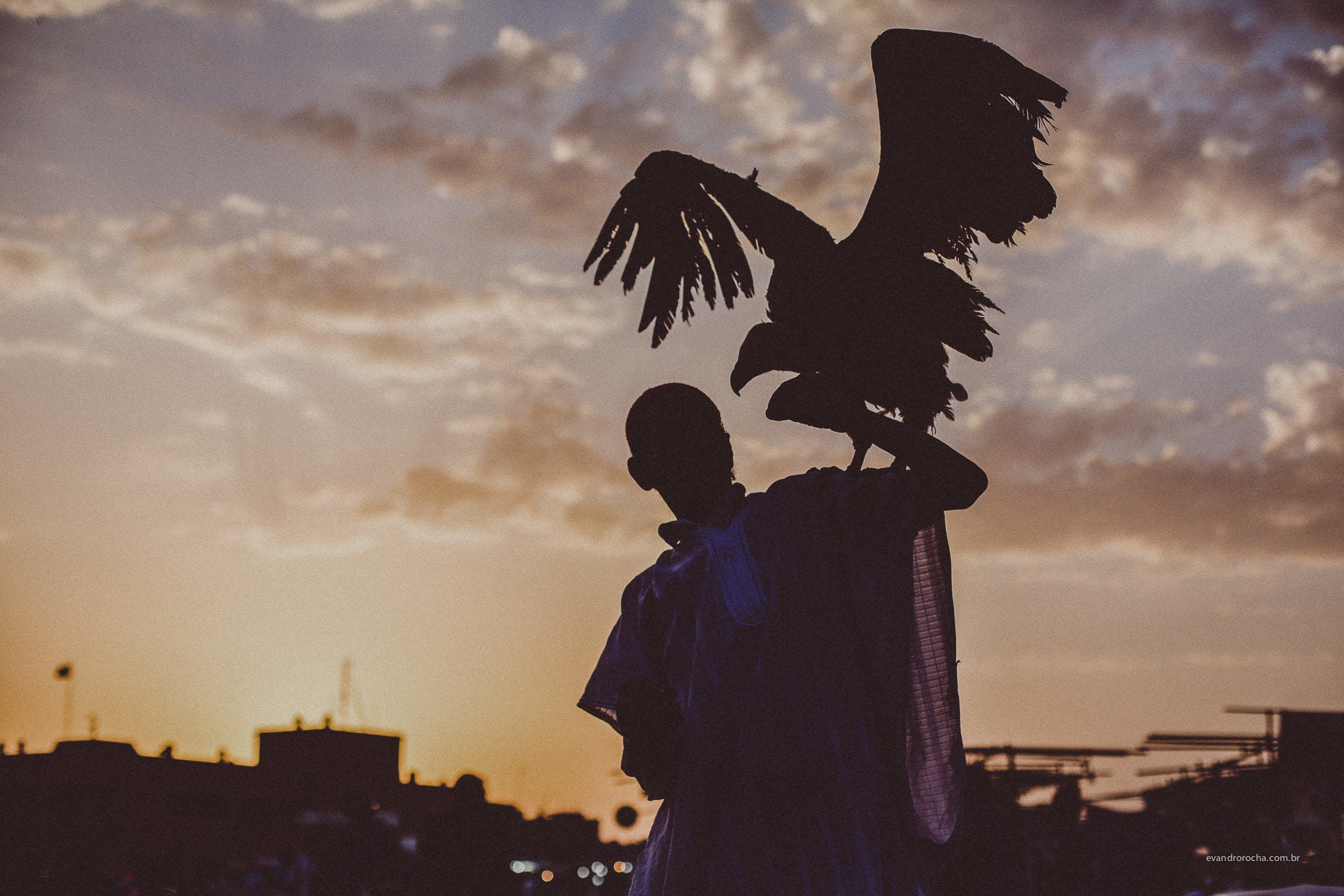 1080P, Evandro Rocha, Brasil, birds, sunset, men, HD Wallpaper