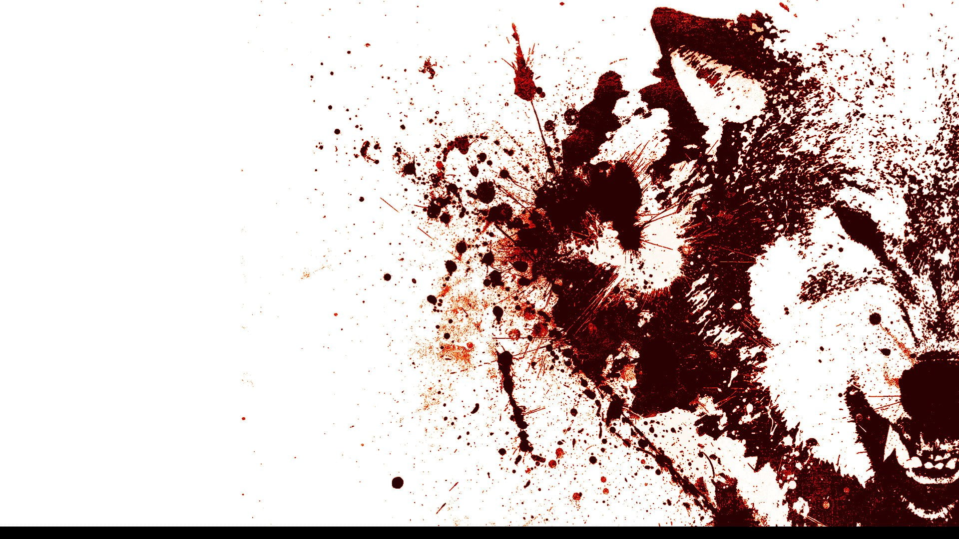 high angle view, drop, stained, fear, red, aggression, studio shot, messy, copy space, 1080P, bad condition, Animal, no people, white background, HD Wallpaper