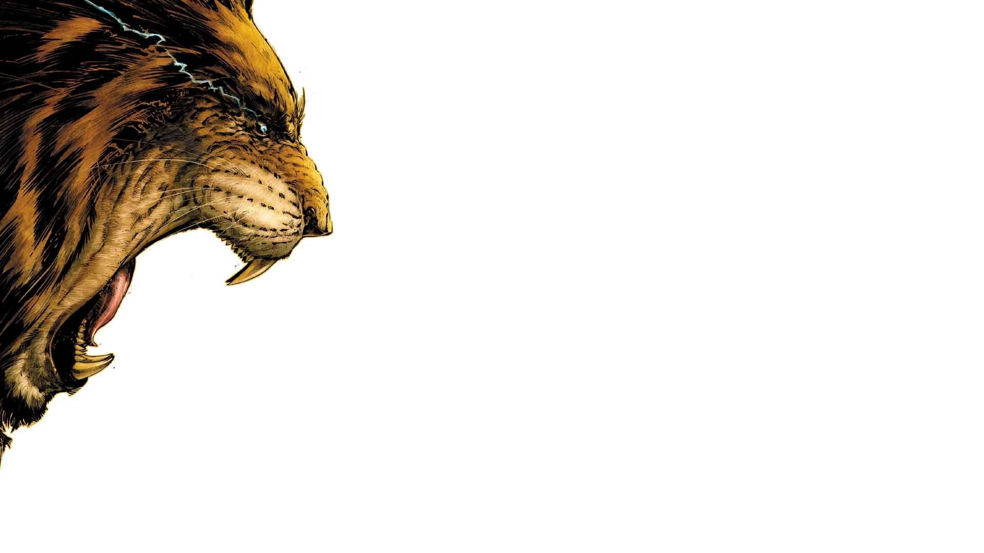 batwing, 1080P, HD Wallpaper