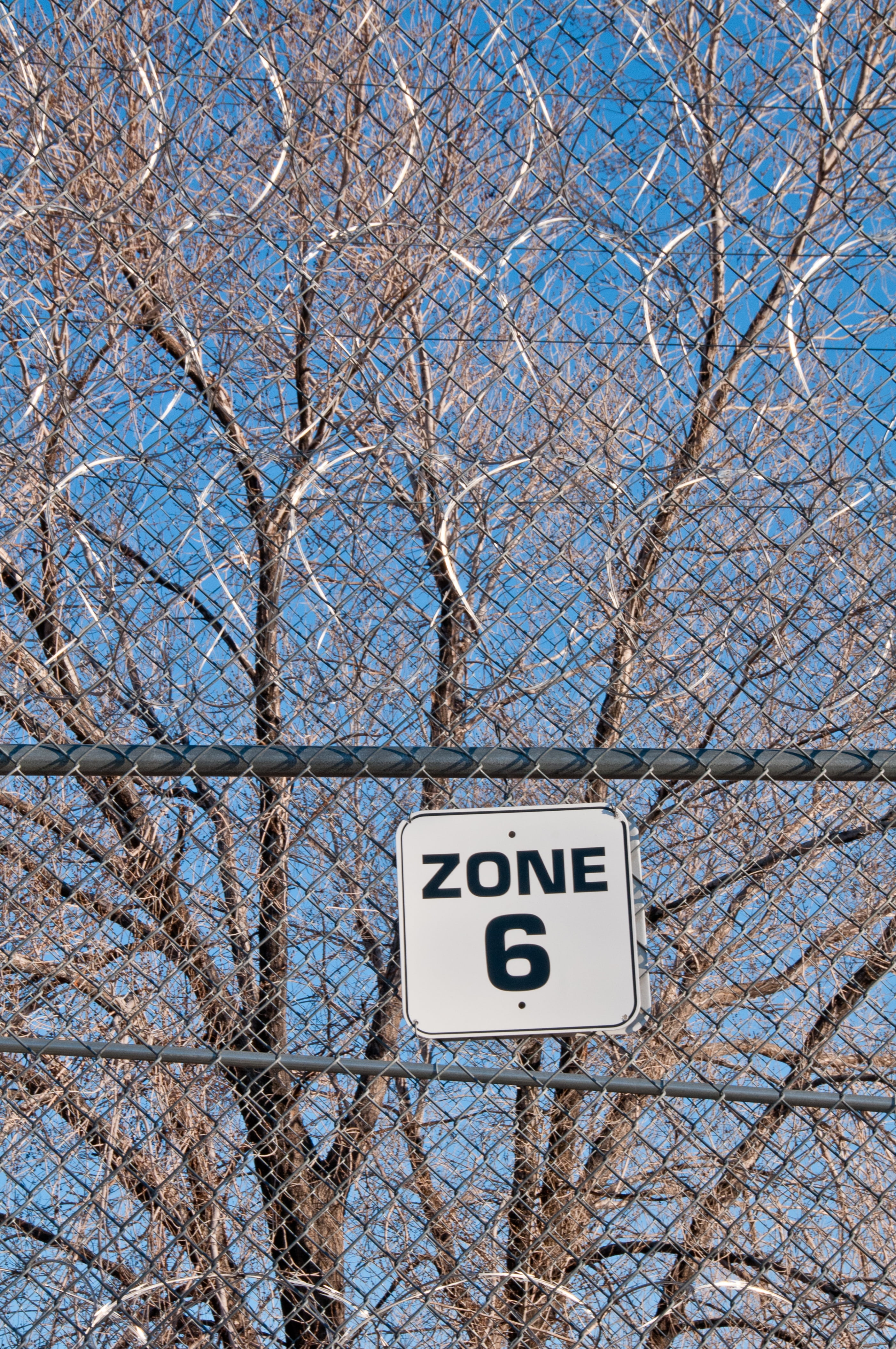 sky, security, communication, plant, information sign, bars, fence, blue, metal, low angle view, information, section, bare tree, road, no people, barbed, Phone HD Wallpaper