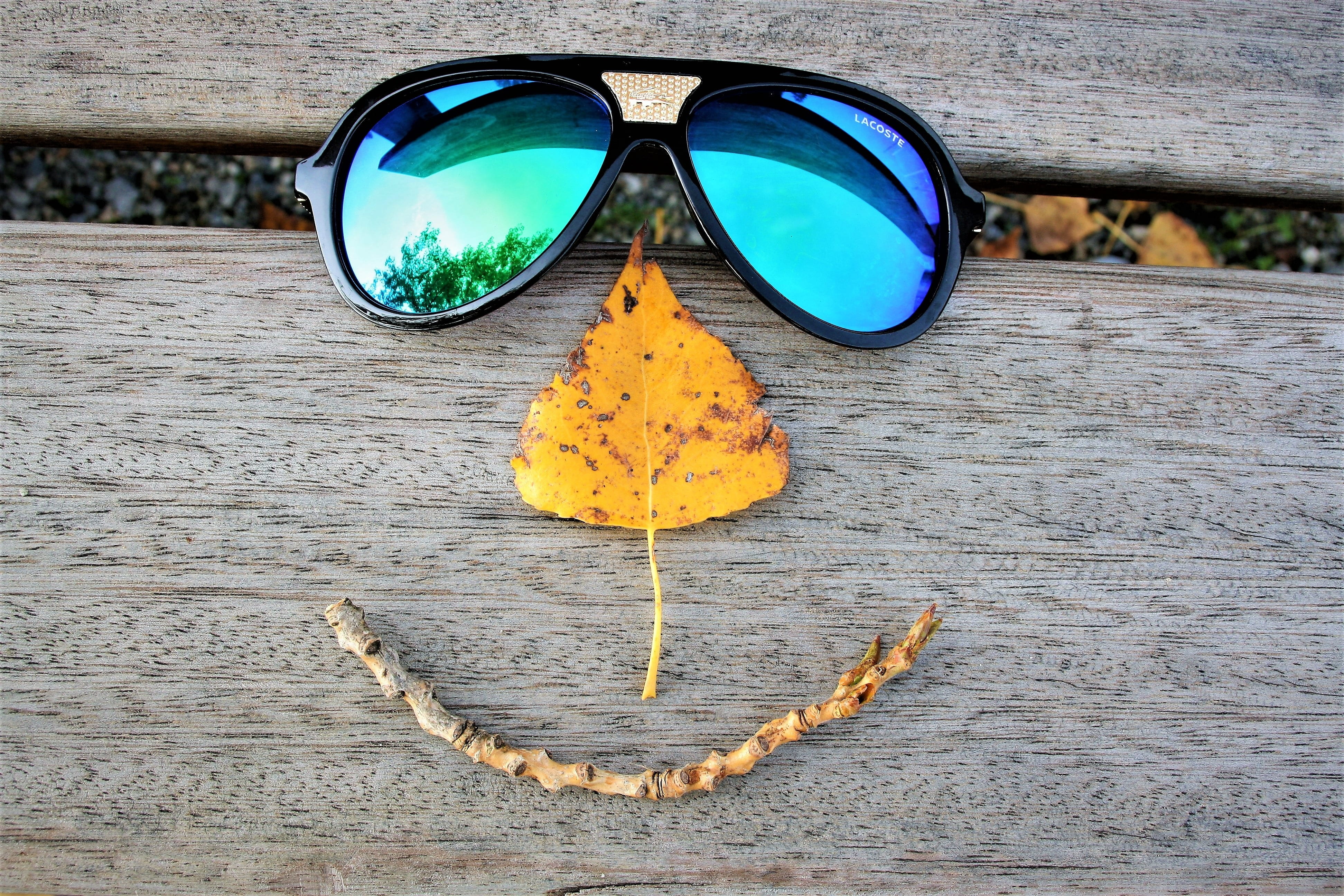 positive, bench, outdoors, october, a smile, lacoste, leaf, art and craft, protection, close-up, high angle view, spacer, sunglasses, water, reflection, HD Wallpaper