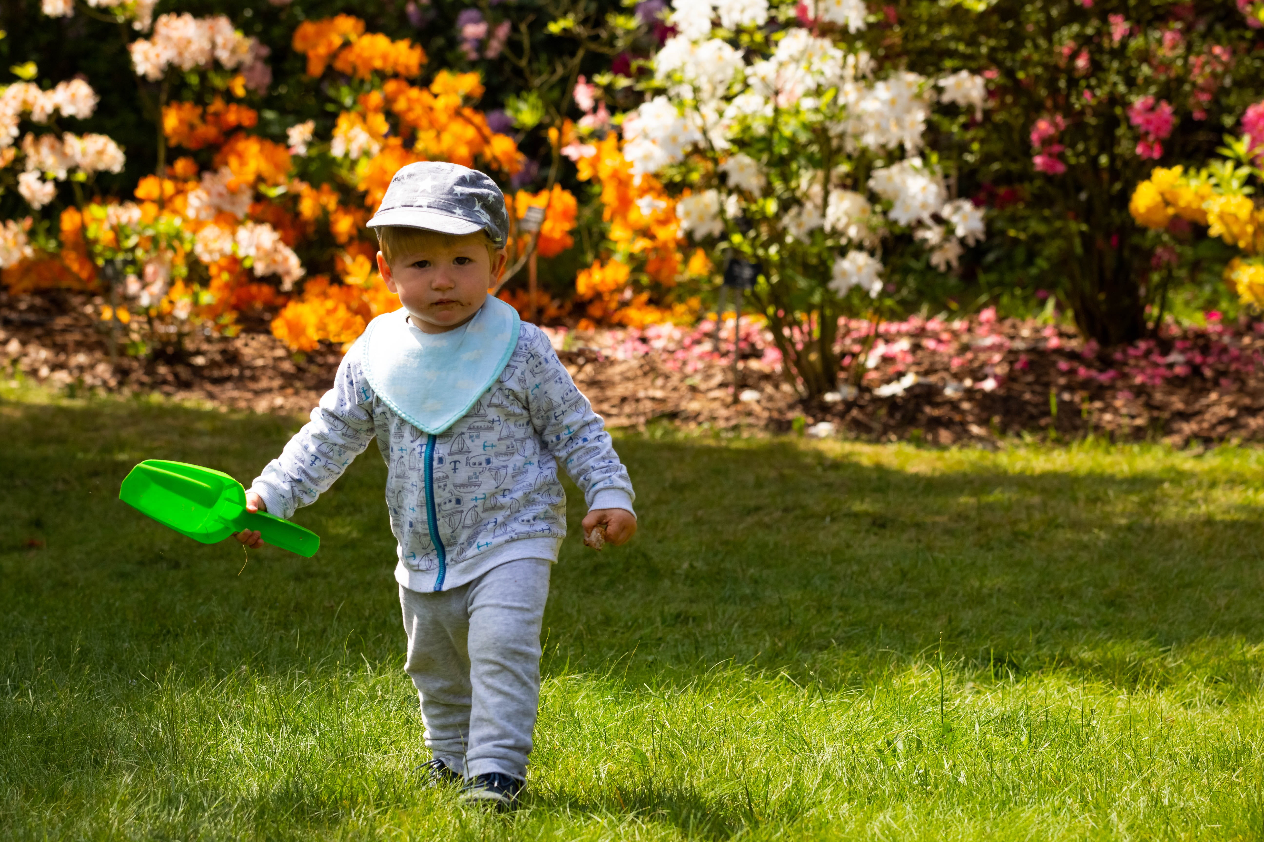 escape, boy, unconcern, garden, grass, males, looking at camera, 5K, outdoors, children, childhood, tour, traffic, flowering plant, innocence, casual clothing, HD Wallpaper